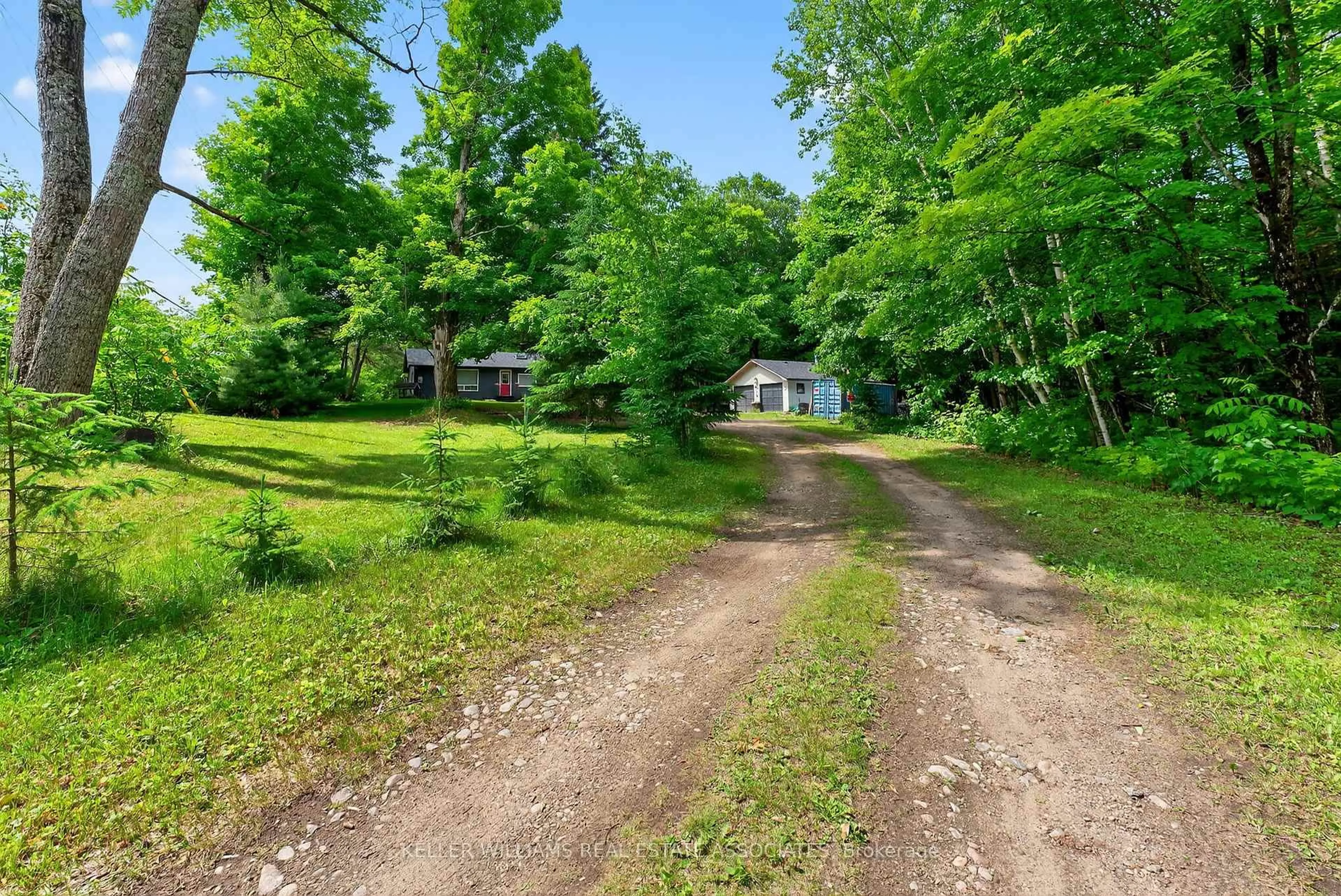 A pic from outside/outdoor area/front of a property/back of a property/a pic from drone, forest/trees view for 17377 35 Highway, Algonquin Highlands Ontario K0M 1J2