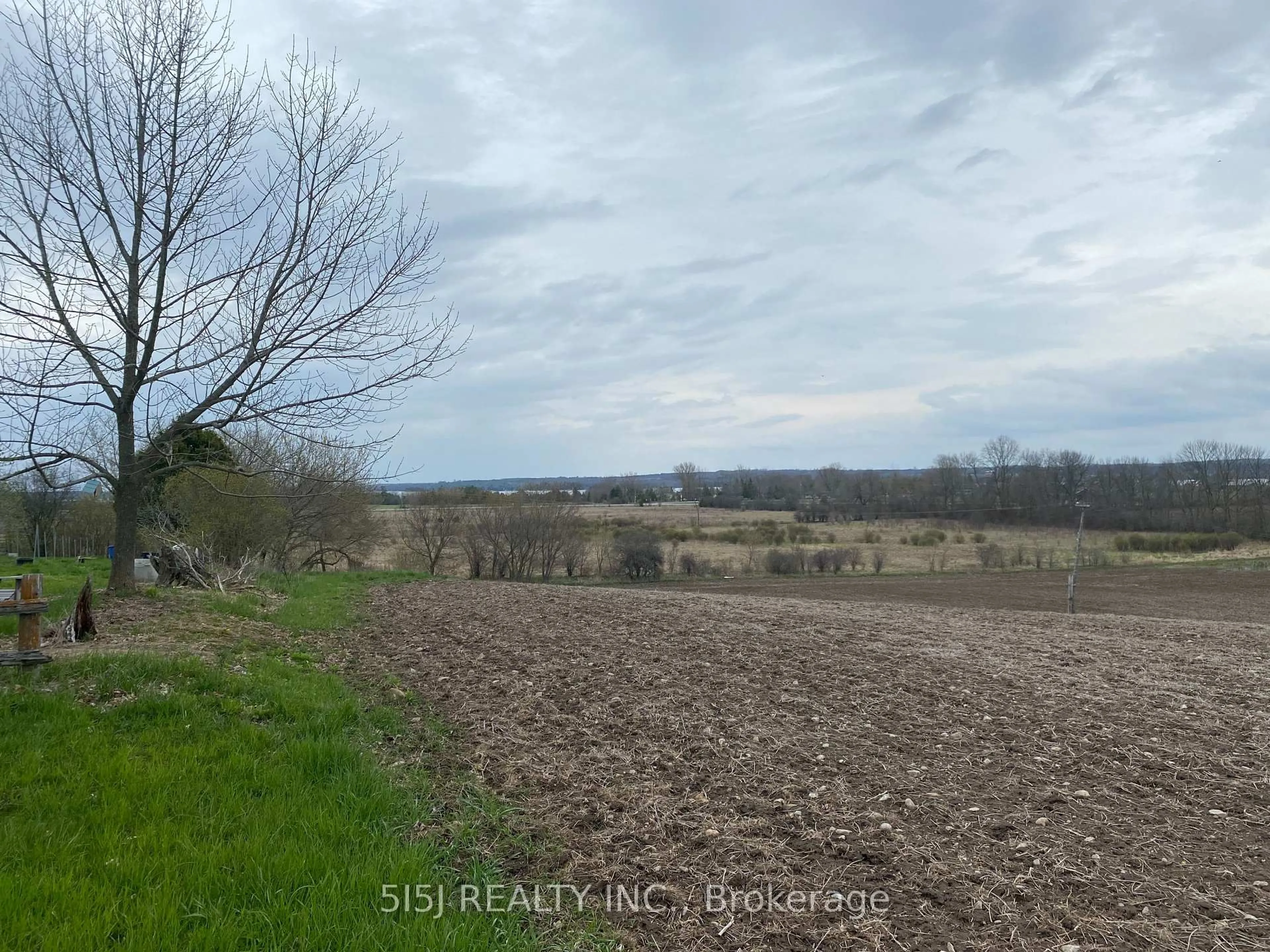 A pic from outside/outdoor area/front of a property/back of a property/a pic from drone, forest/trees view for 191 Long Beach Rd, Kawartha Lakes Ontario K0M 1G0