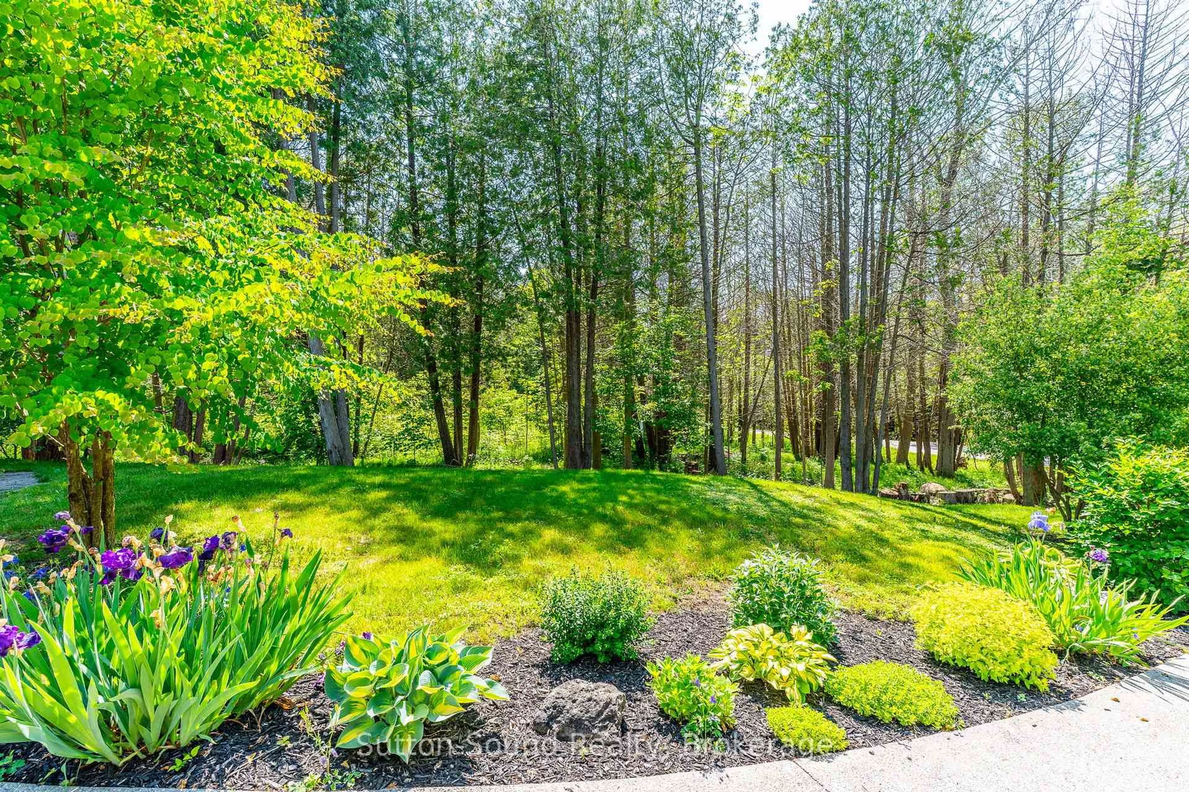 Patio, forest/trees view for 170 LAKESHORE Rd, Georgian Bluffs Ontario N0H 2T0