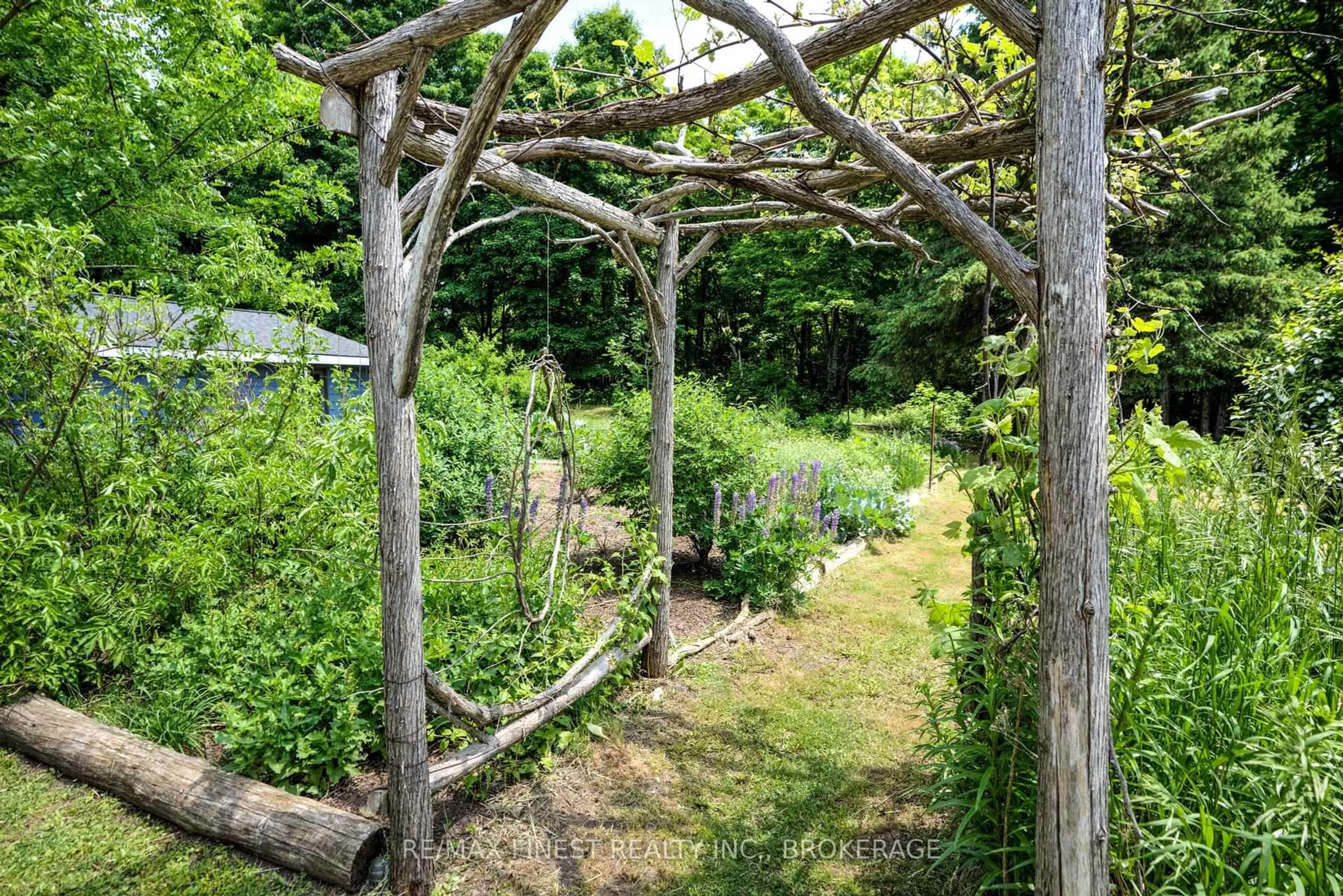 Patio, forest/trees view for 1534 Ardoch Rd, Clarendon Station Ontario K0H 1J0