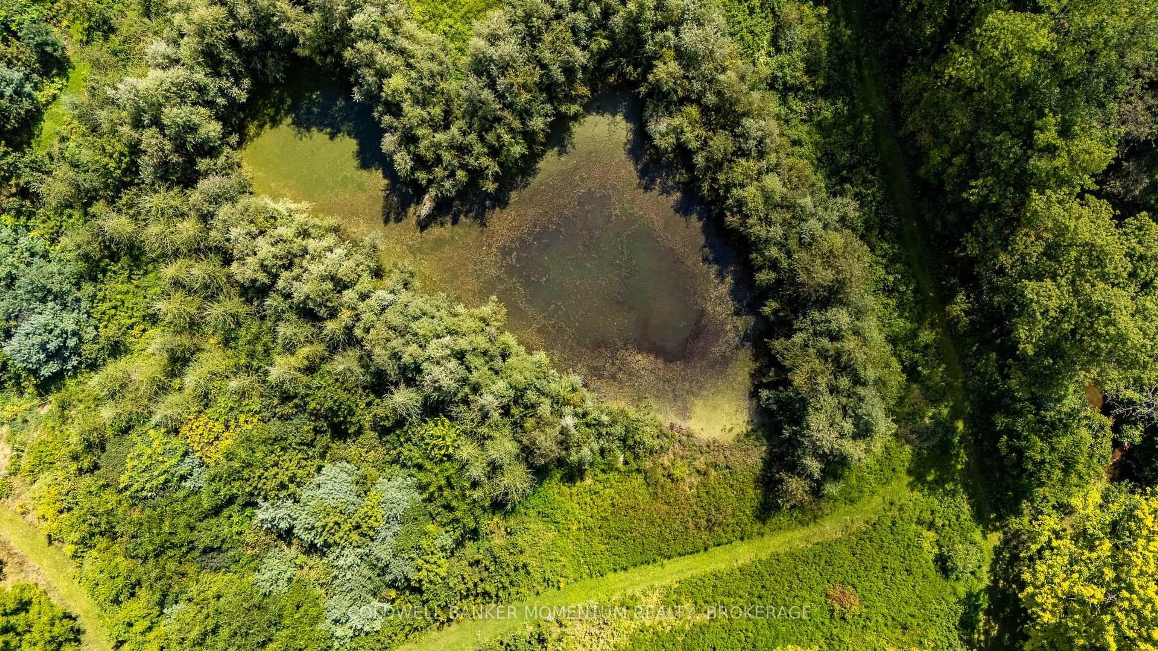 A pic from outside/outdoor area/front of a property/back of a property/a pic from drone, forest/trees view for 1285 Cockshutt Rd, Norfolk Ontario N3Y 4K3