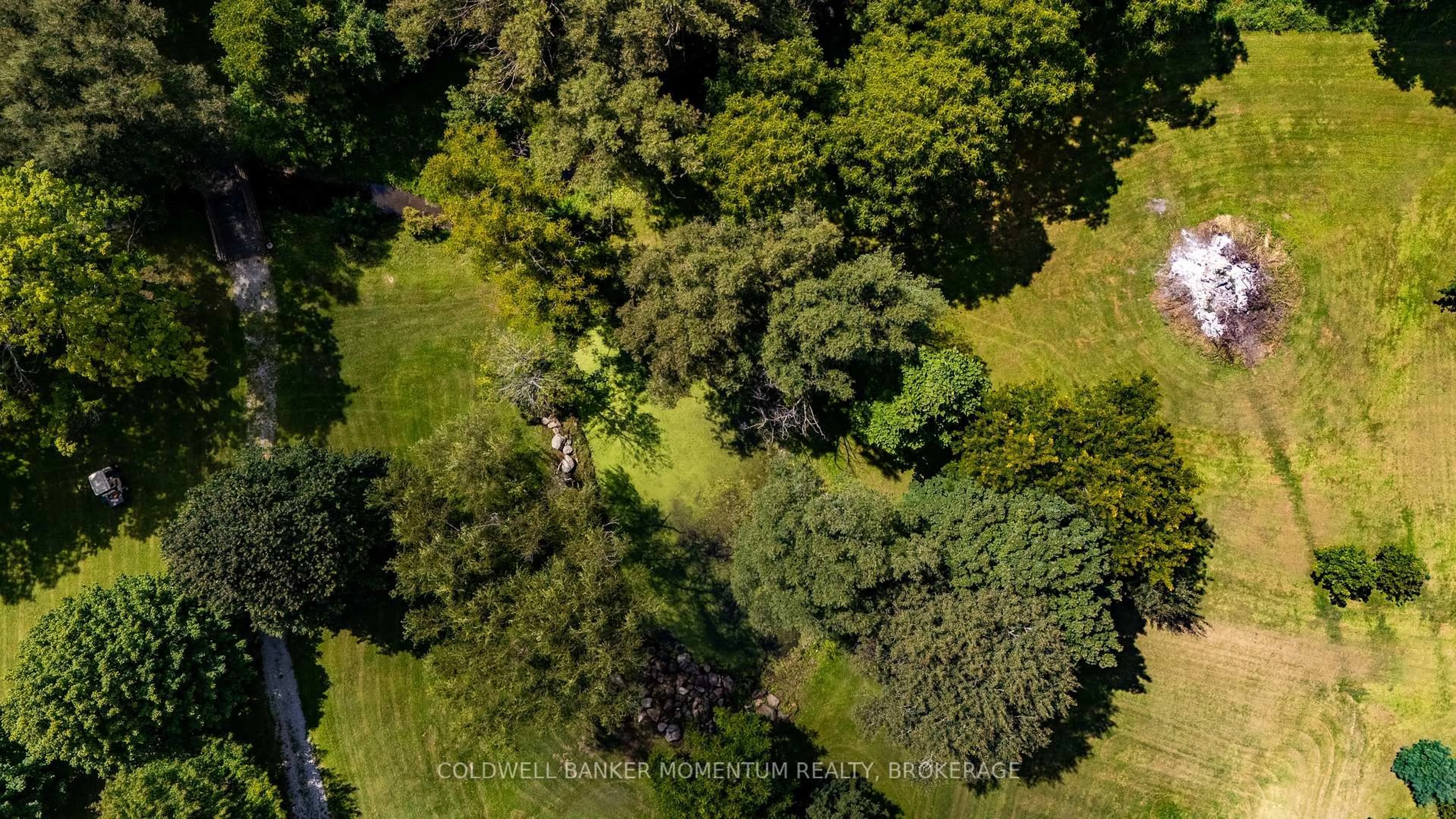 A pic from outside/outdoor area/front of a property/back of a property/a pic from drone, forest/trees view for 1285 Cockshutt Rd, Norfolk Ontario N3Y 4K3