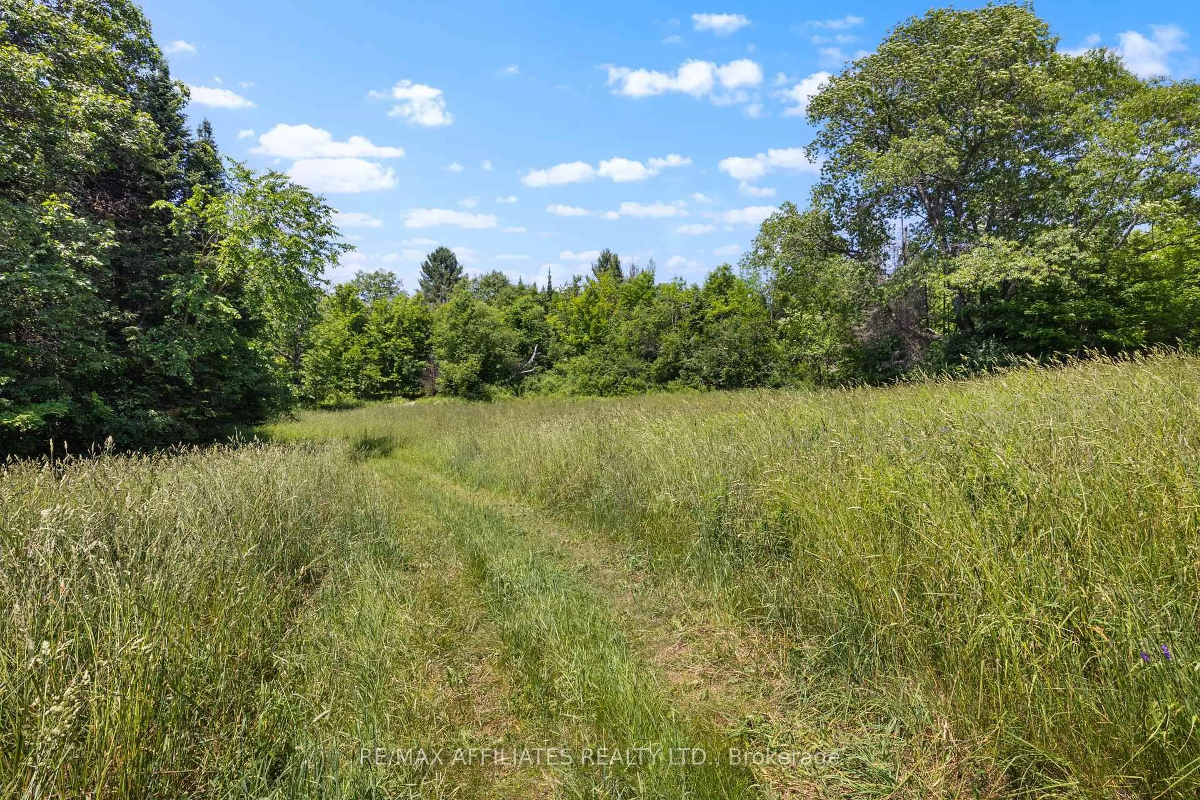 A pic from outside/outdoor area/front of a property/back of a property/a pic from drone, forest/trees view for 1655 Old Perth Rd, Almonte Ontario K0A 1A0