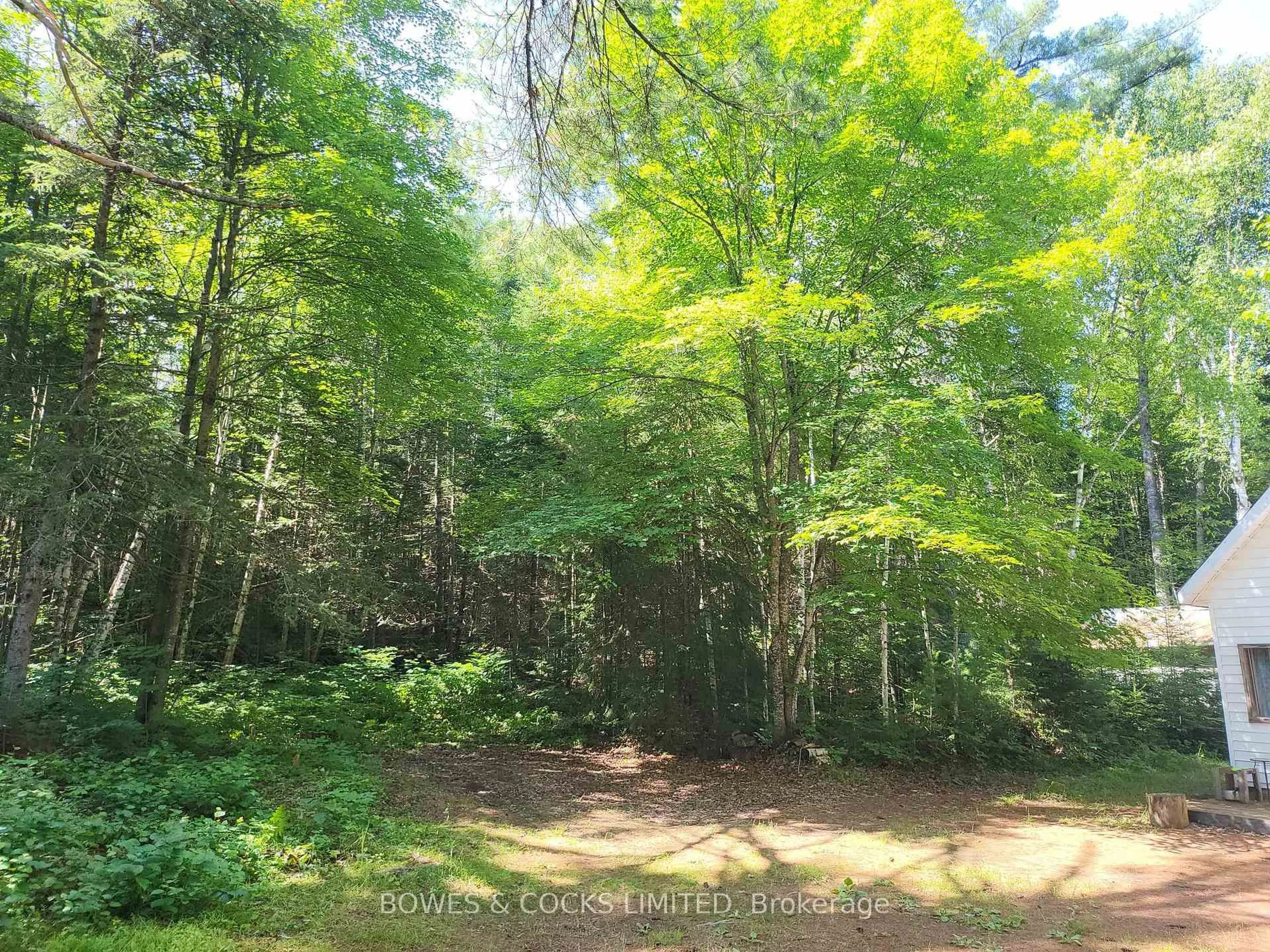 A pic from outside/outdoor area/front of a property/back of a property/a pic from drone, forest/trees view for 24 Robinson Rd, Maynooth Ontario K0L 2S0
