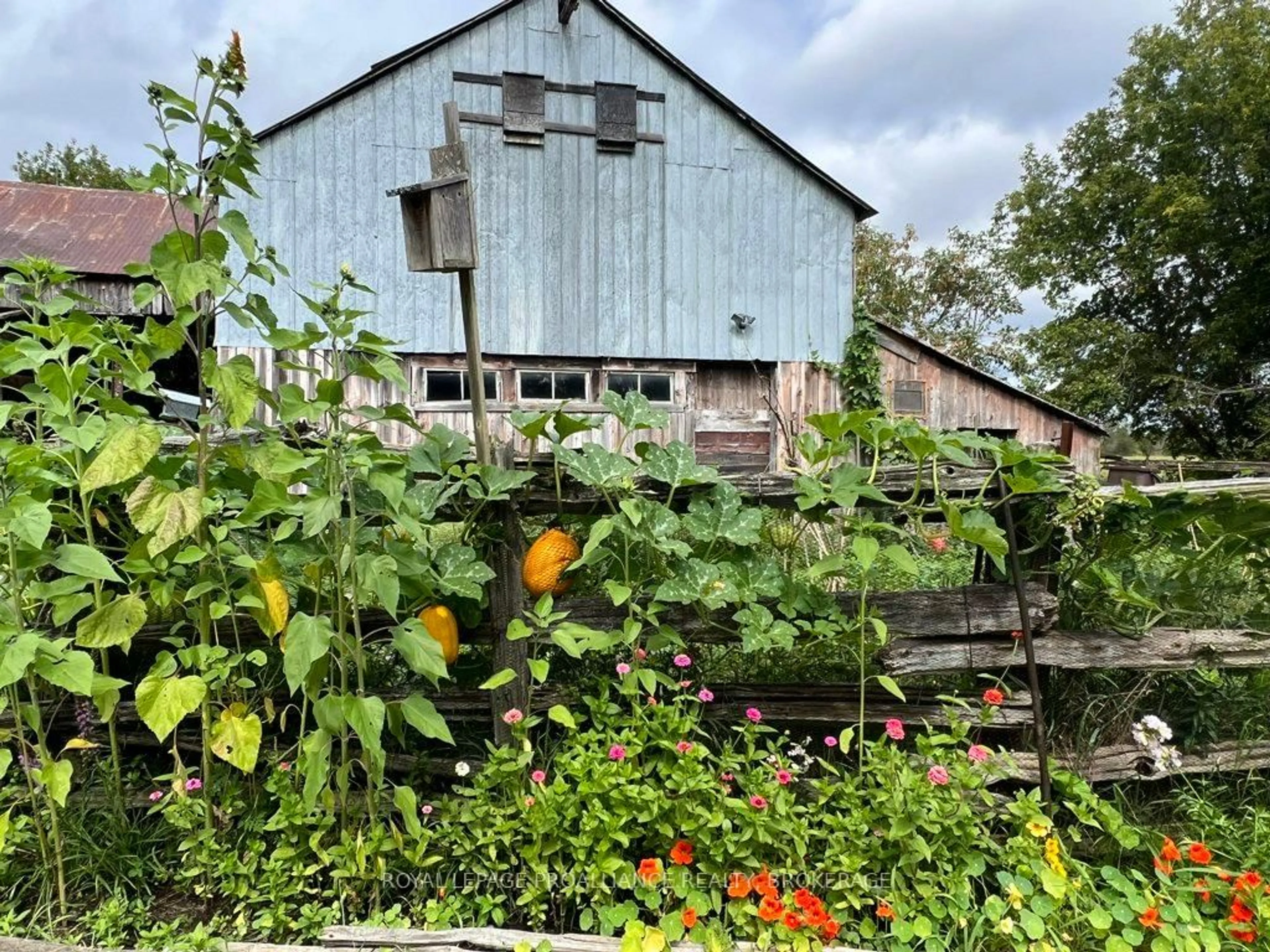 Shed for 25 Curl Rd, Yarker Ontario K0K 3N0