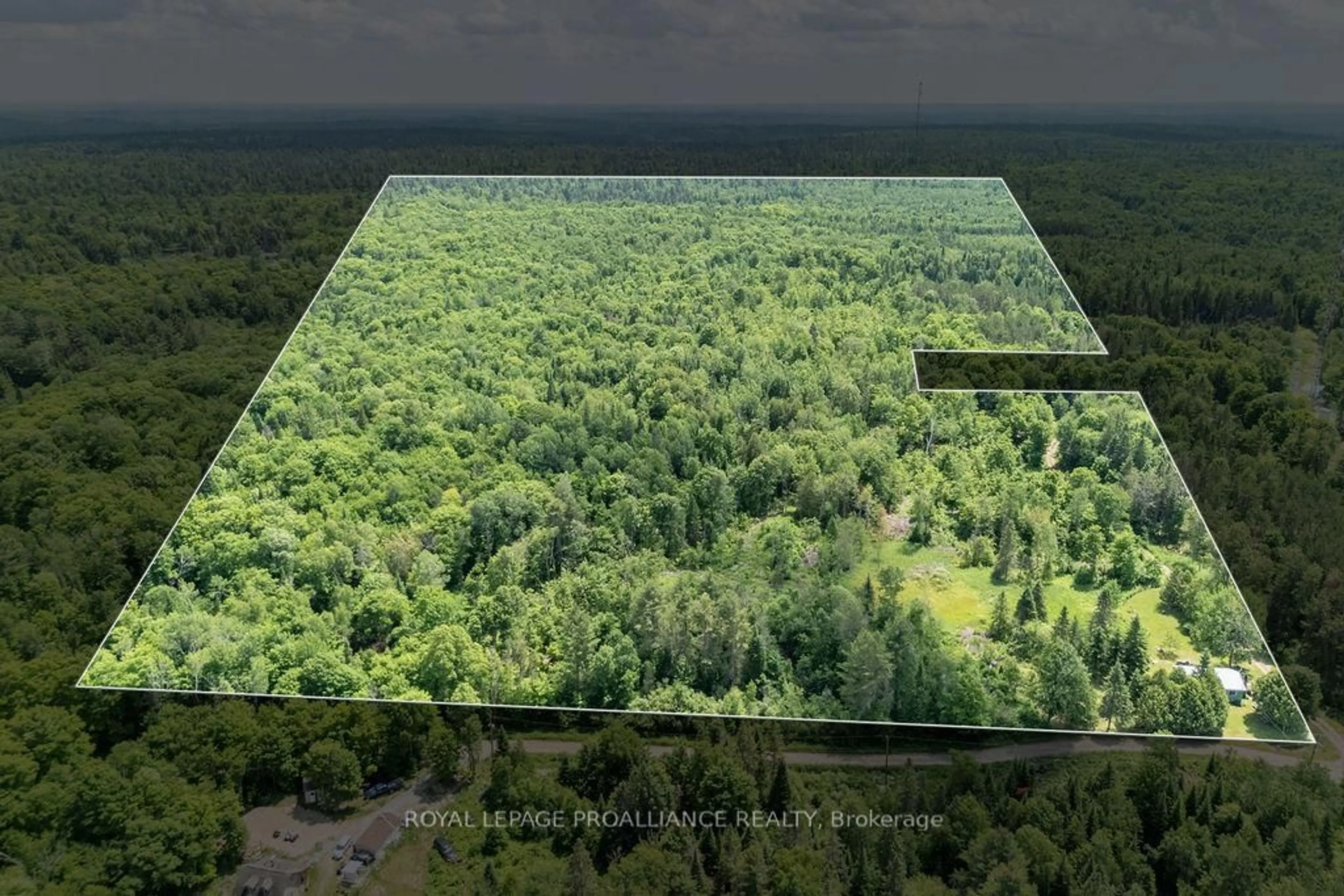 A pic from outside/outdoor area/front of a property/back of a property/a pic from drone, forest/trees view for 273 Tower Rd, Cloyne Ontario K0H 1K0