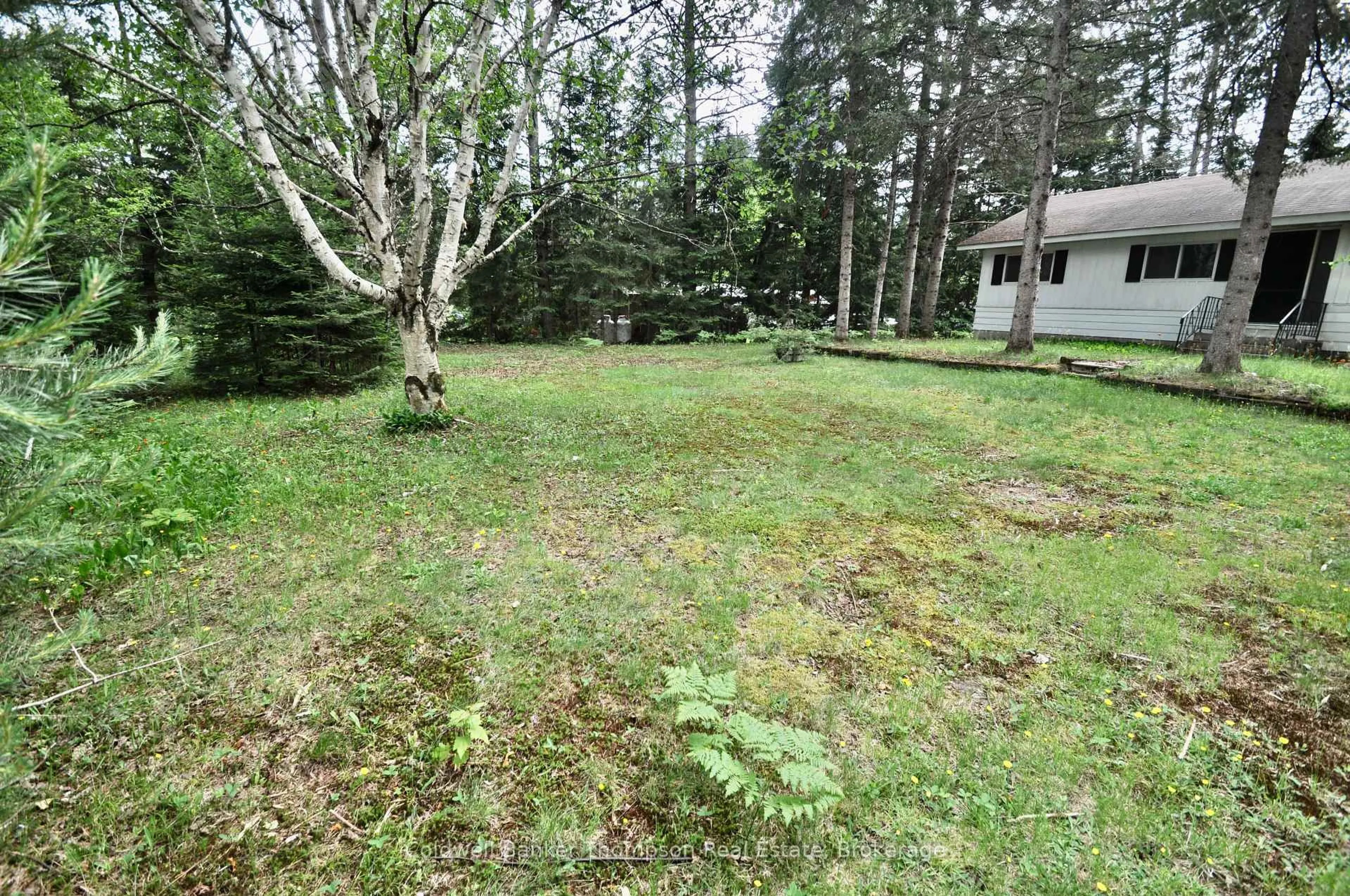 A pic from outside/outdoor area/front of a property/back of a property/a pic from drone, forest/trees view for 8 Spruce Lane, Armour Ontario P0A 1L0