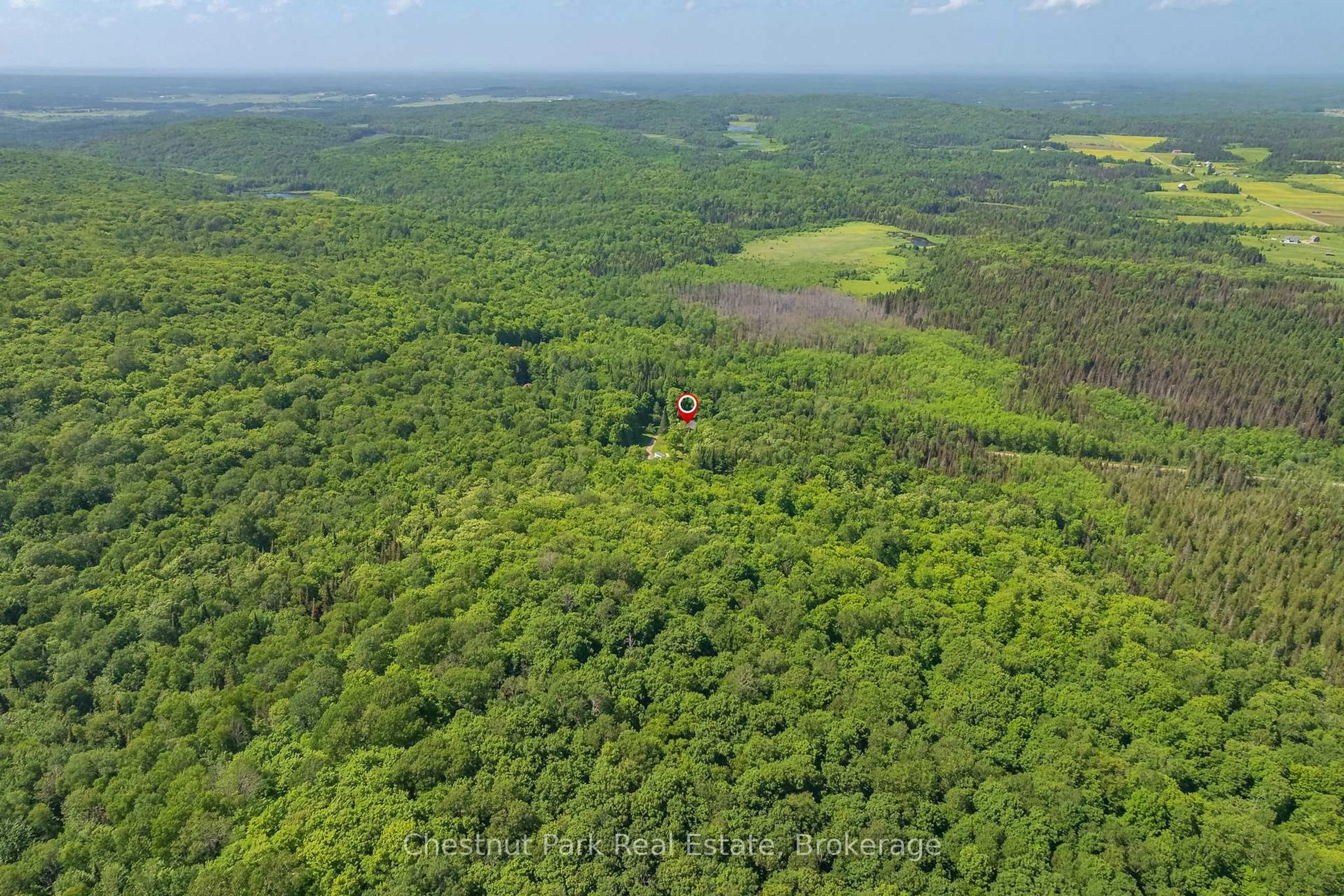 A pic from outside/outdoor area/front of a property/back of a property/a pic from drone, forest/trees view for 487 O'connor Line Rd, Powassan Ontario P0H 1Z0