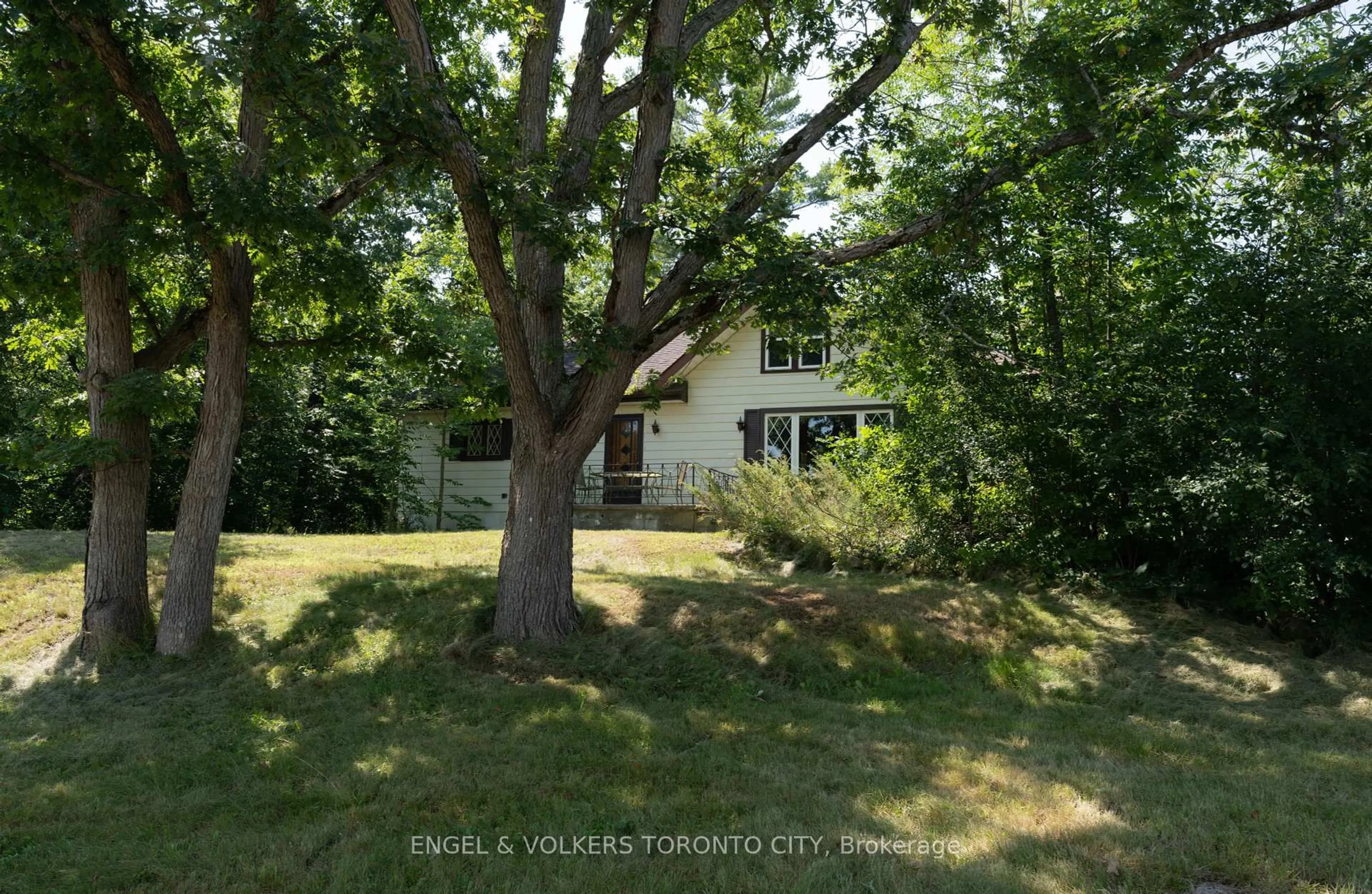 A pic from outside/outdoor area/front of a property/back of a property/a pic from drone, forest/trees view for 3320 Buckhorn Rd, Smith-Ennismore-Lakefield Ontario K0L 1J0