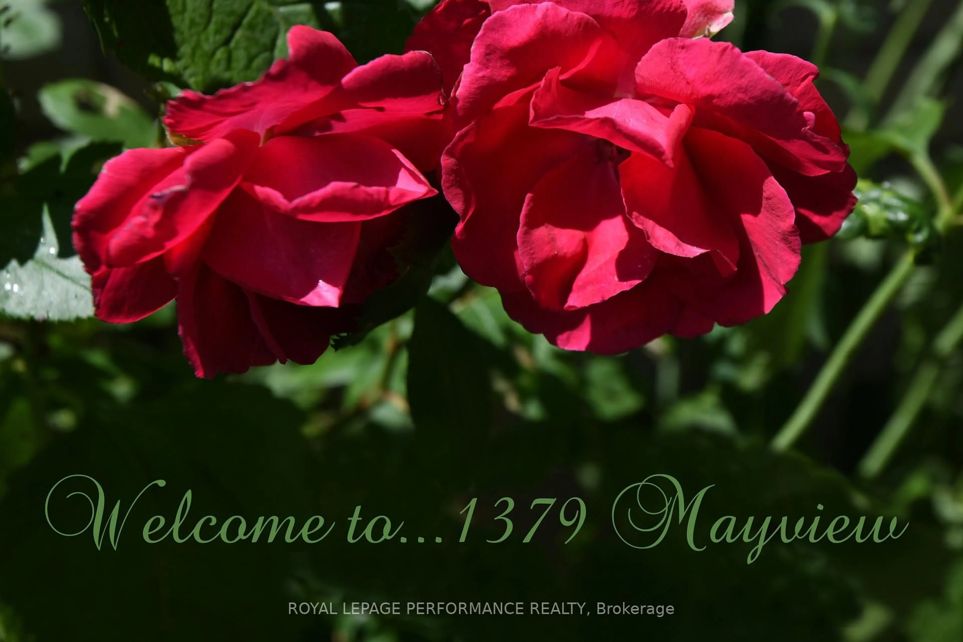 Indoor foyer for 1379 Mayview Ave, Ottawa Ontario K1Z 8H6