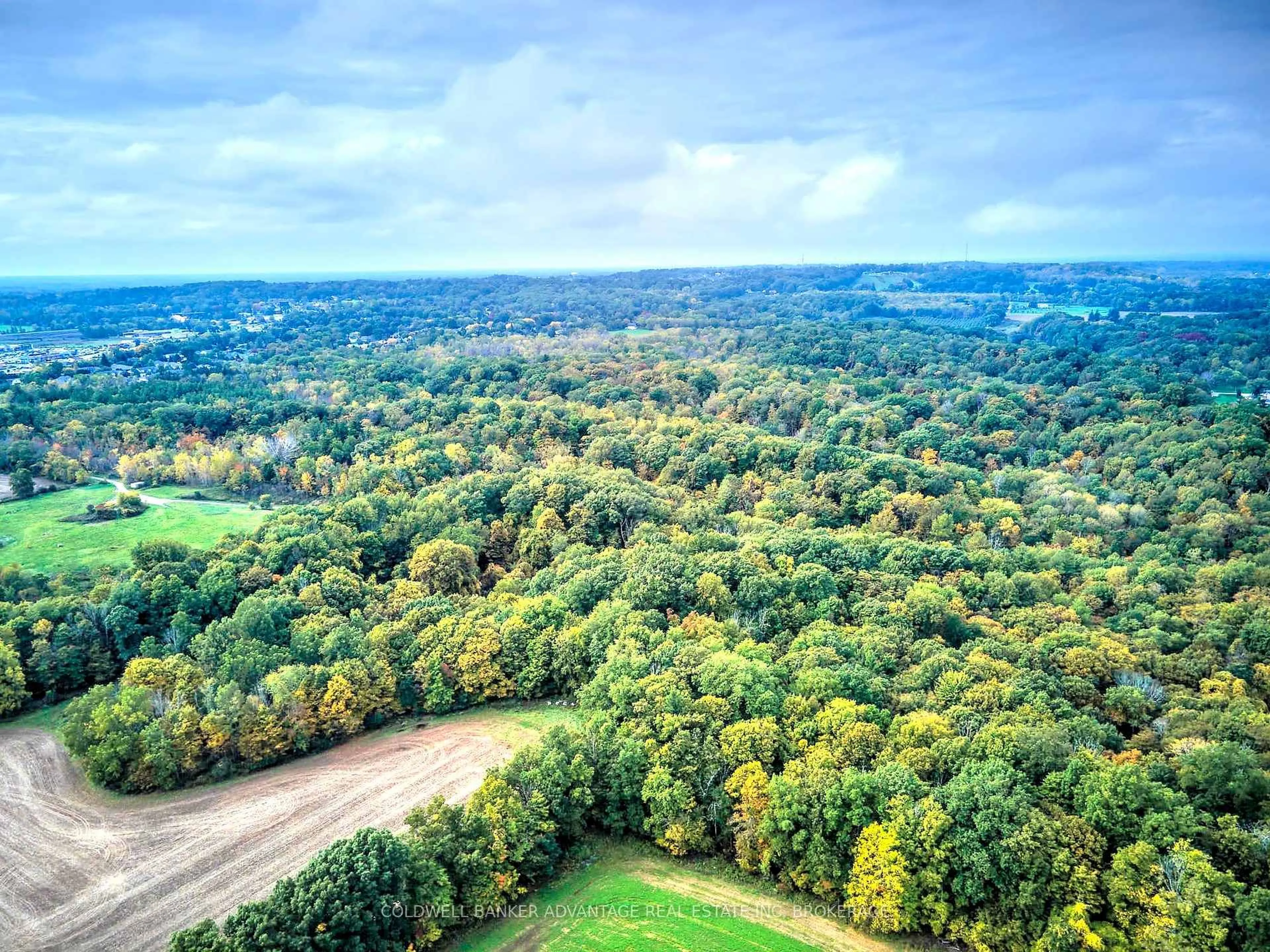 A pic from outside/outdoor area/front of a property/back of a property/a pic from drone, forest/trees view for 154&155 LOT, Thorold Ontario L0S 1E6