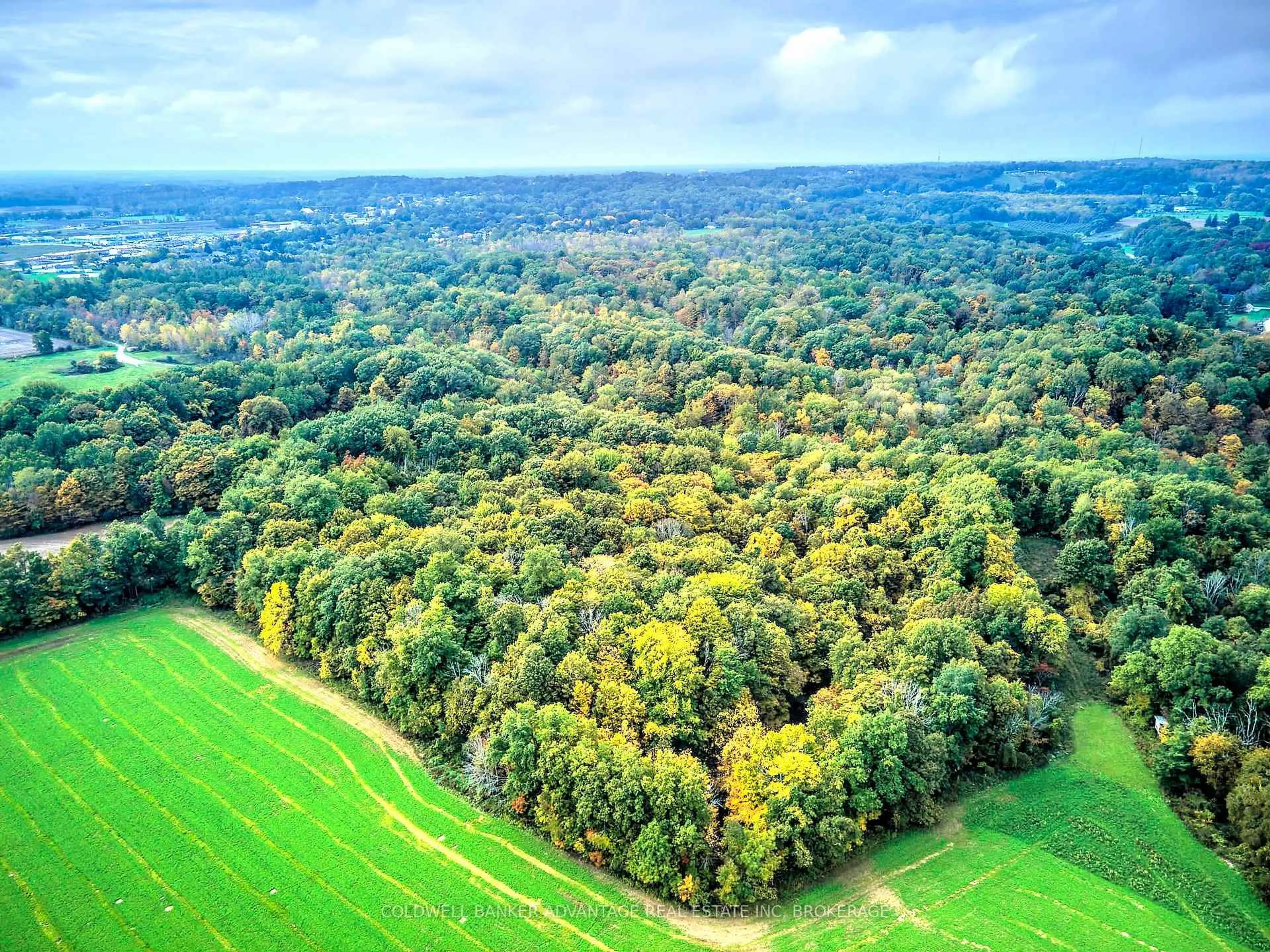 A pic from outside/outdoor area/front of a property/back of a property/a pic from drone, forest/trees view for 154&155 LOT, Thorold Ontario L0S 1E6