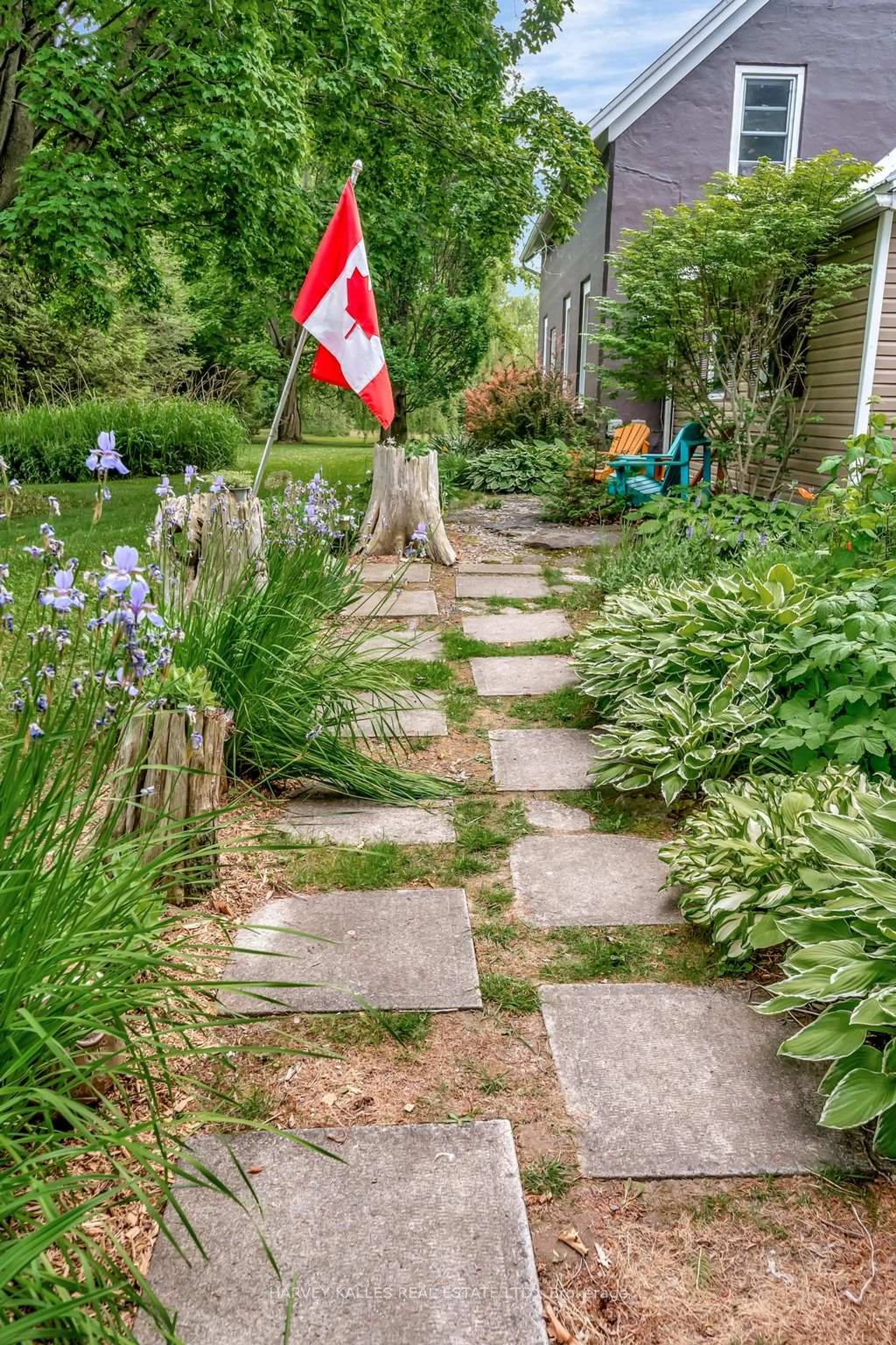 Patio, street for 286 County Rd 11 Rd, Prince Edward County Ontario K0K 2T0
