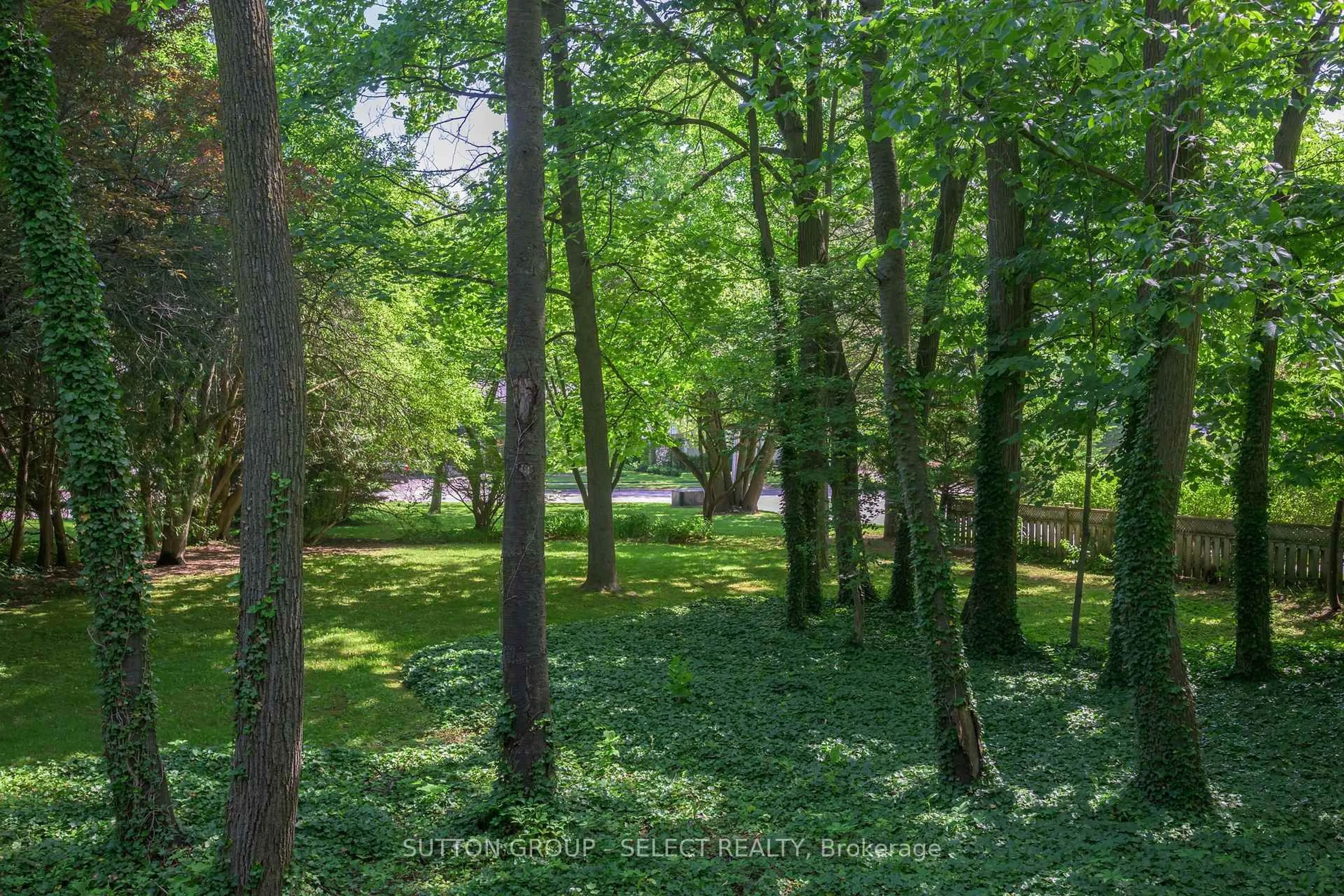 A pic from outside/outdoor area/front of a property/back of a property/a pic from drone, forest/trees view for 1625 Hillside Dr, London North Ontario N6G 2R1