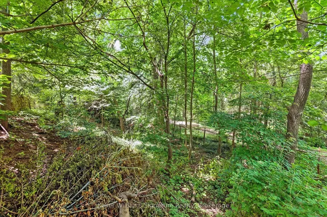 Additional property image - 18 Moonglow Pl