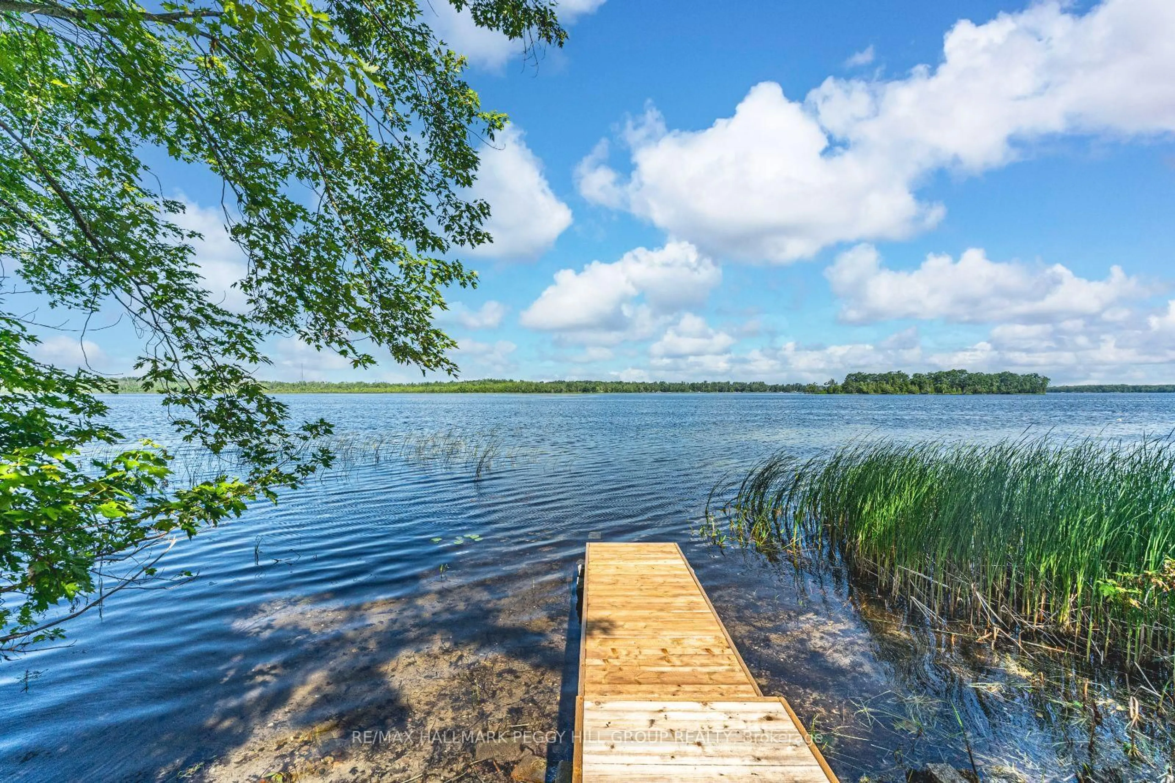 Patio, water/lake/river/ocean view for 185 Avery Point Rd, Kawartha Lakes Ontario L0K 1W0