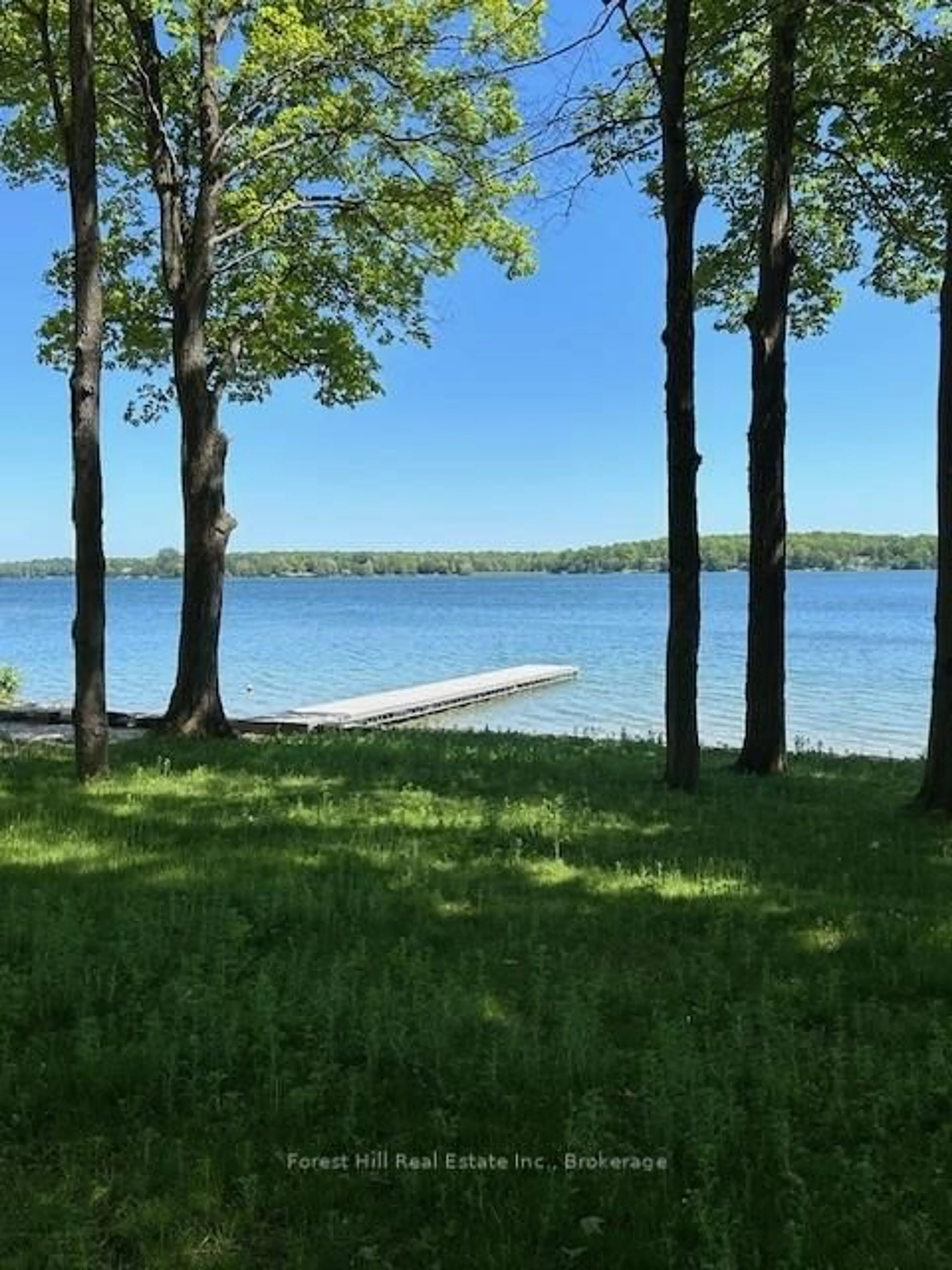 Unknown for 195 BLUE MOUNTAIN MAPLES Rd, Grey Highlands Ontario N0C 1E0