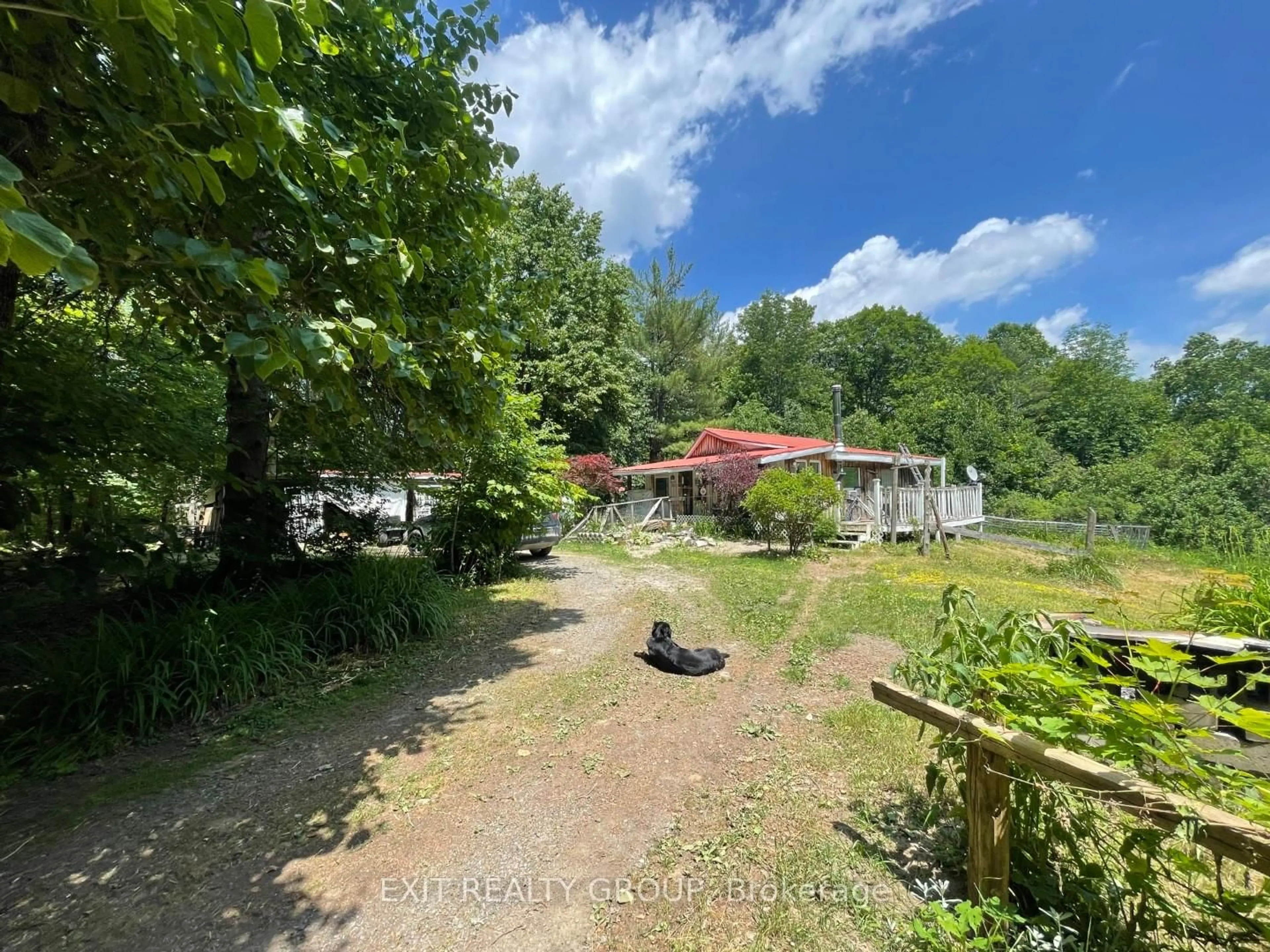 A pic from outside/outdoor area/front of a property/back of a property/a pic from drone, forest/trees view for 486 Shanick Rd, Limoges Ontario K0K 2M0