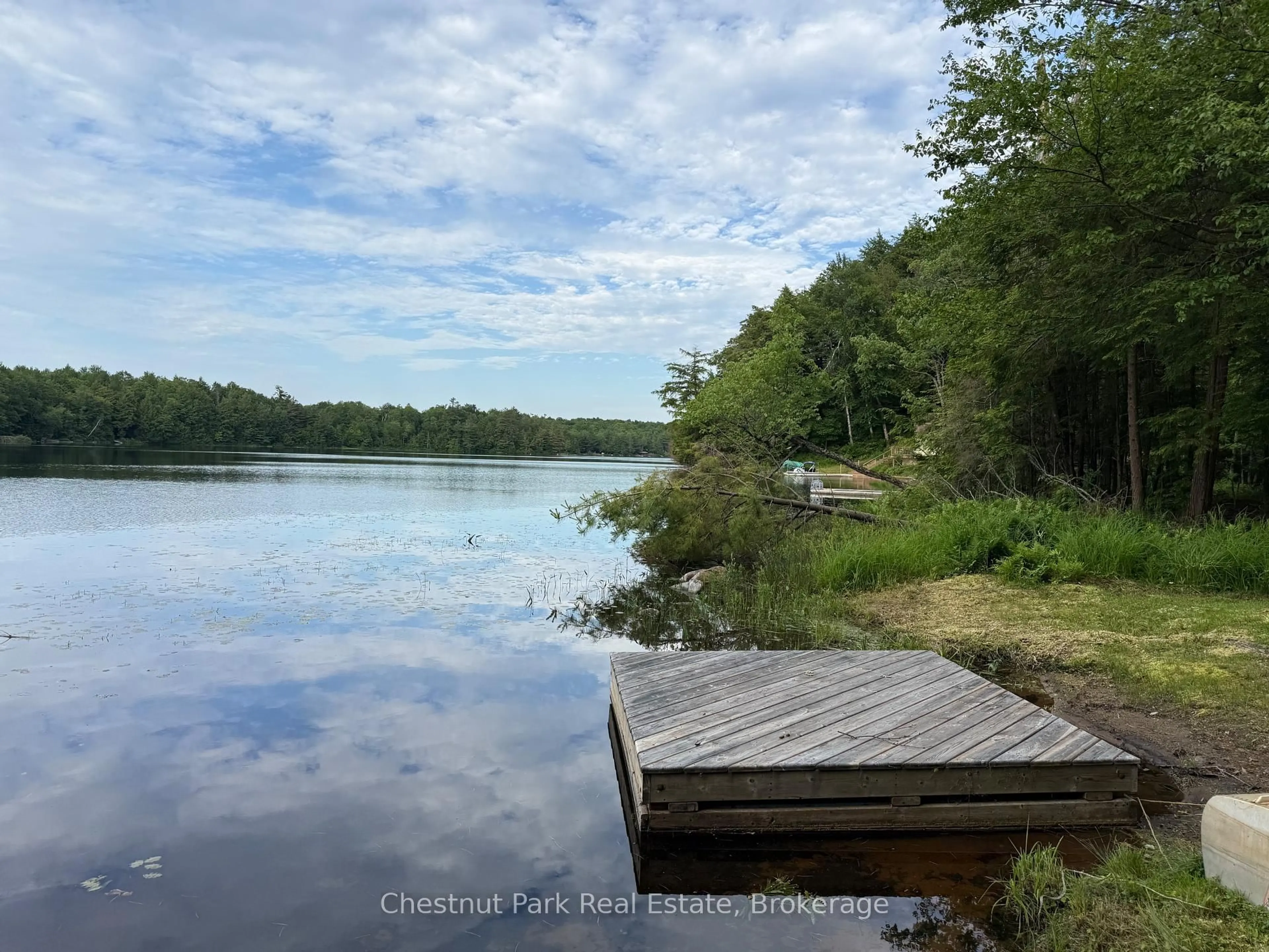 Unknown for 431 Webster's Lane, Georgian Bay Ontario P0C 1H0