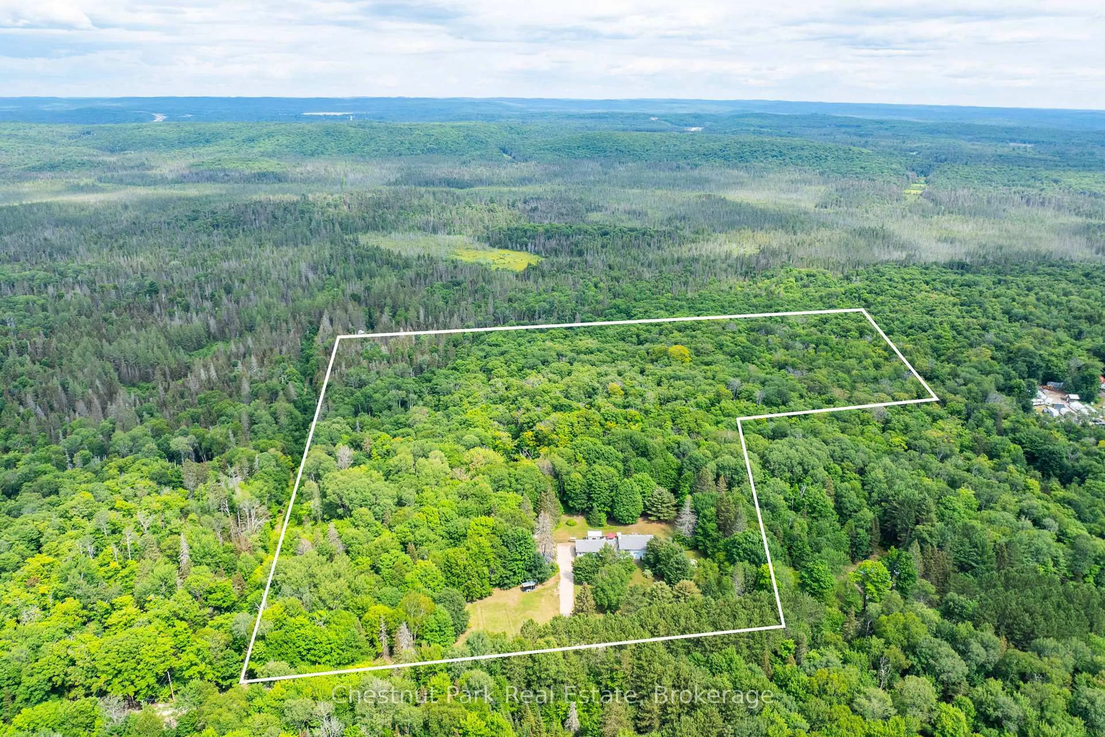 A pic from outside/outdoor area/front of a property/back of a property/a pic from drone, forest/trees view for 269 Old Muskoka Rd, Machar Ontario P0A 1H0