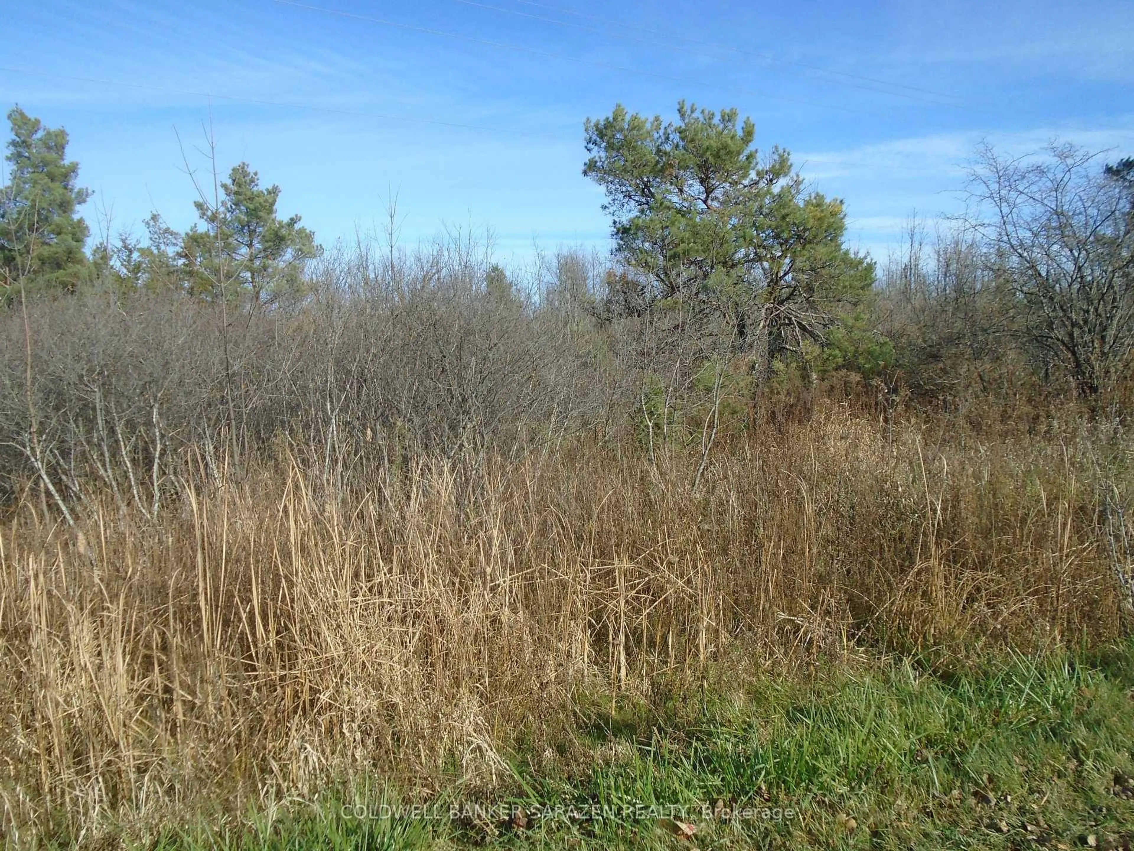 Blurry image for 49 RIDEAU AVENUE NORTH Rd, Smiths Falls Ontario K7A 4W1