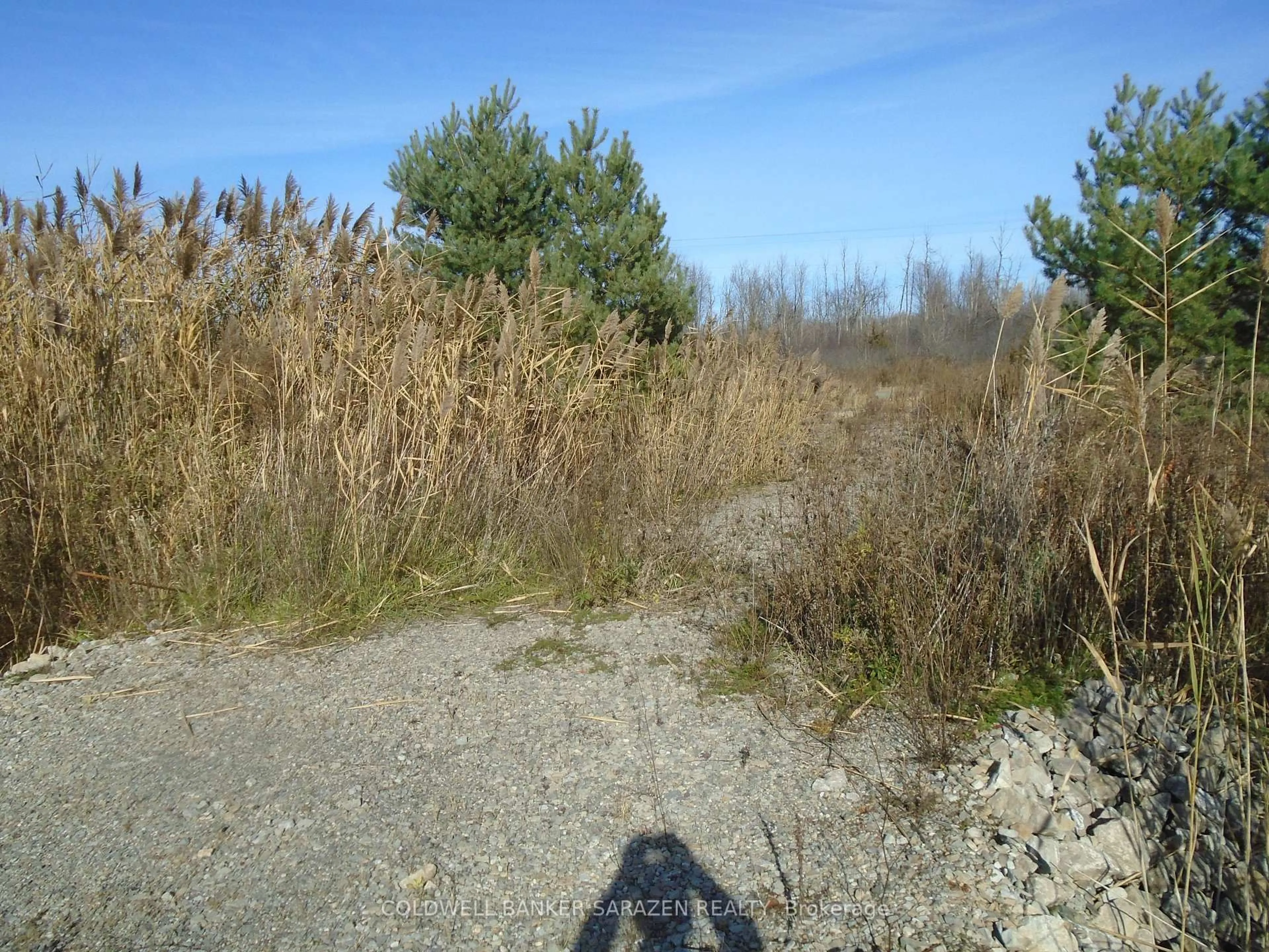 Blurry image for 49 RIDEAU AVENUE NORTH Rd, Smiths Falls Ontario K7A 4W1