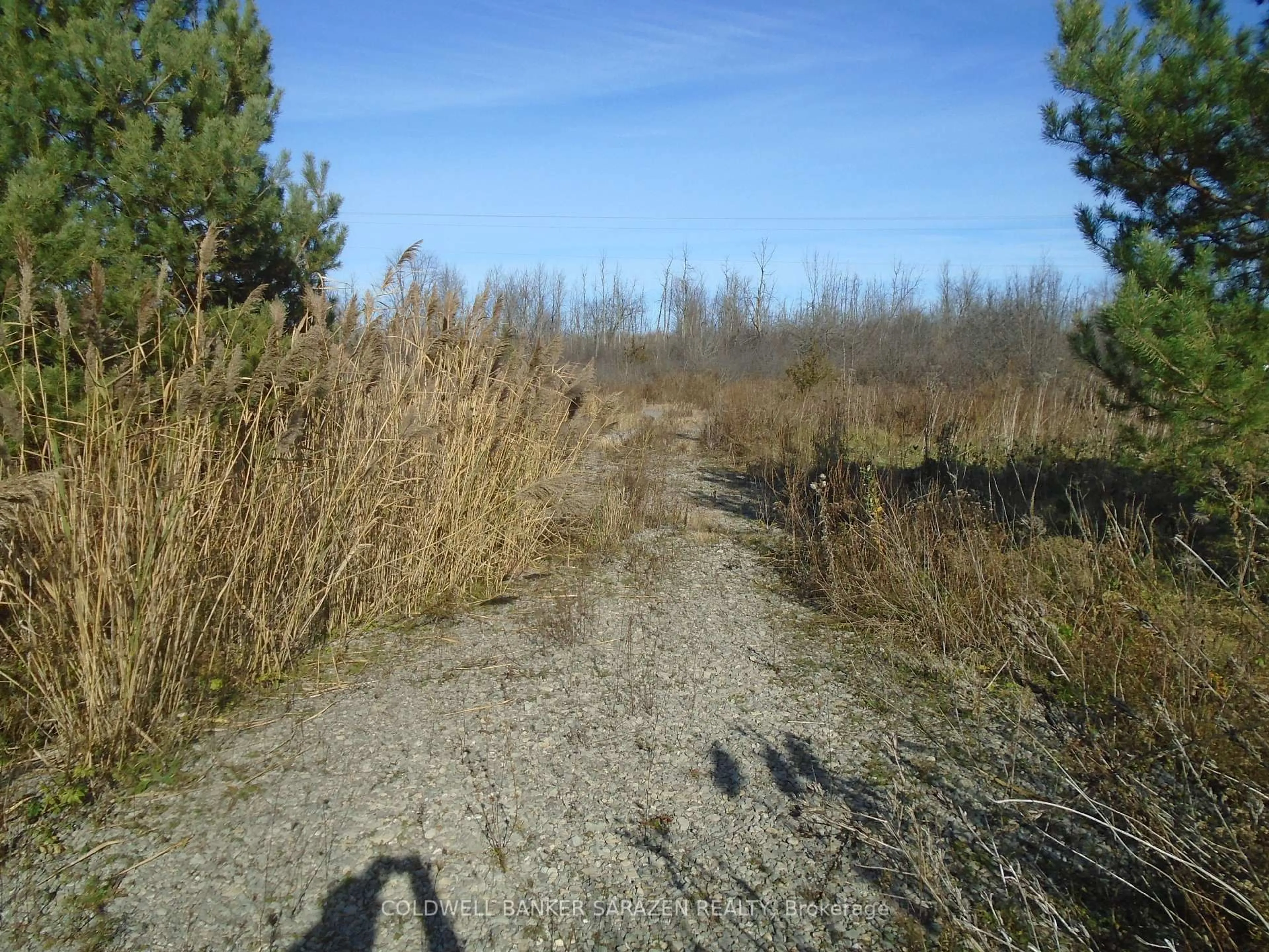 Blurry image for 49 RIDEAU AVENUE NORTH Rd, Smiths Falls Ontario K7A 4W1