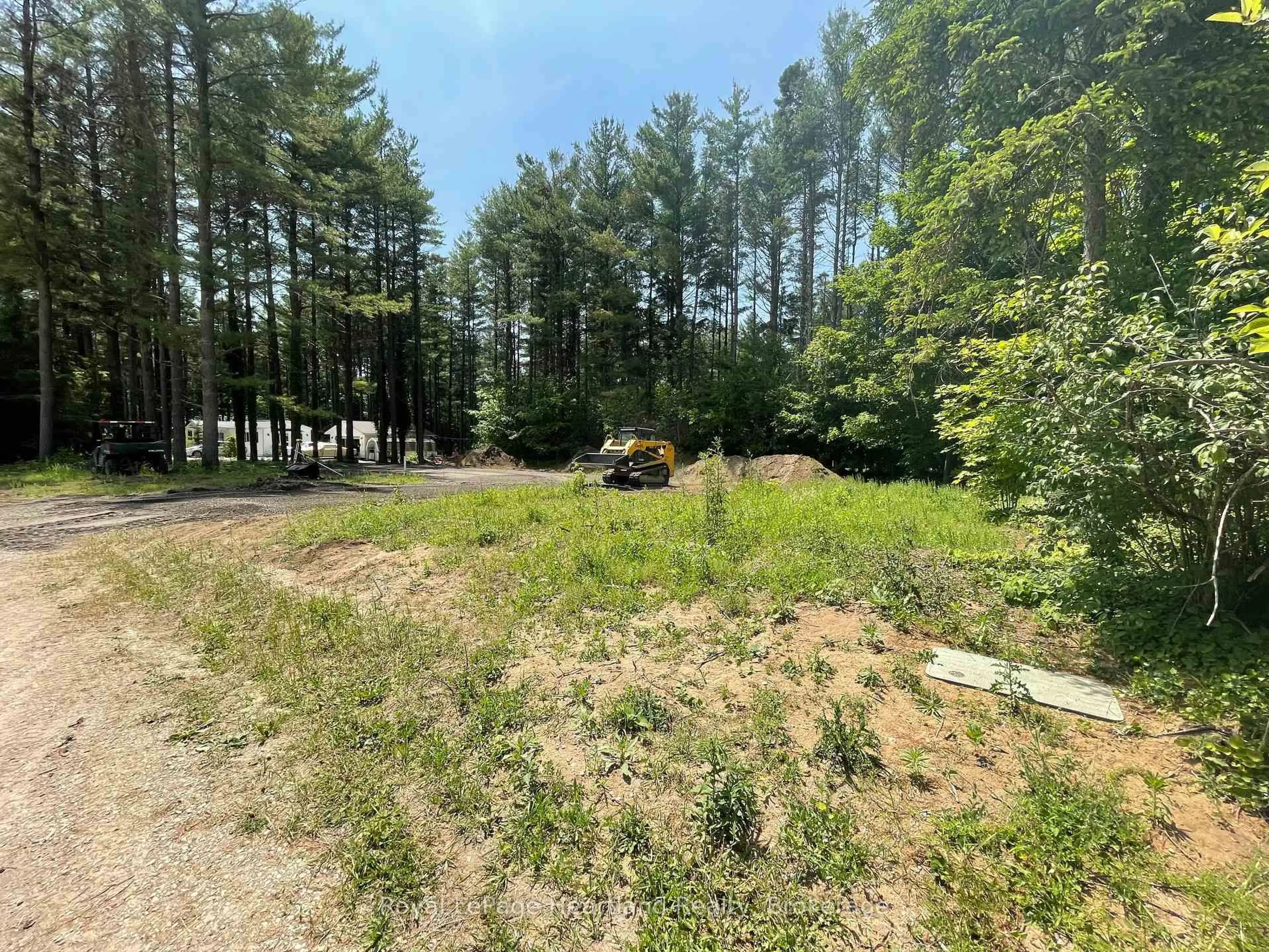 A pic from outside/outdoor area/front of a property/back of a property/a pic from drone, forest/trees view for 515 Cottonwood Dr, Central Huron Ontario N0M 1G0