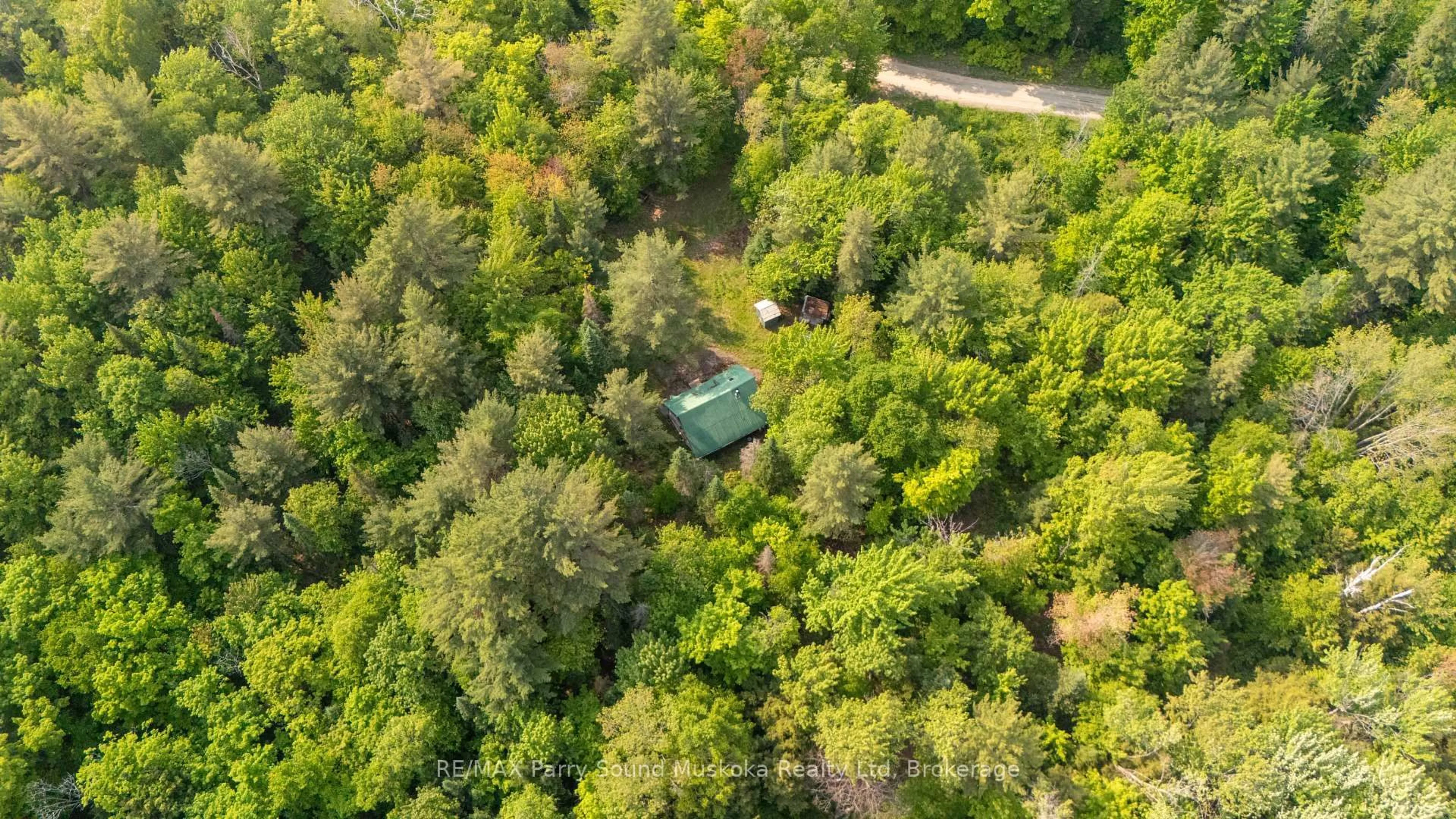 A pic from outside/outdoor area/front of a property/back of a property/a pic from drone, forest/trees view for 141 Middle Rd, McMurrich/Monteith Ontario P0A 1C0