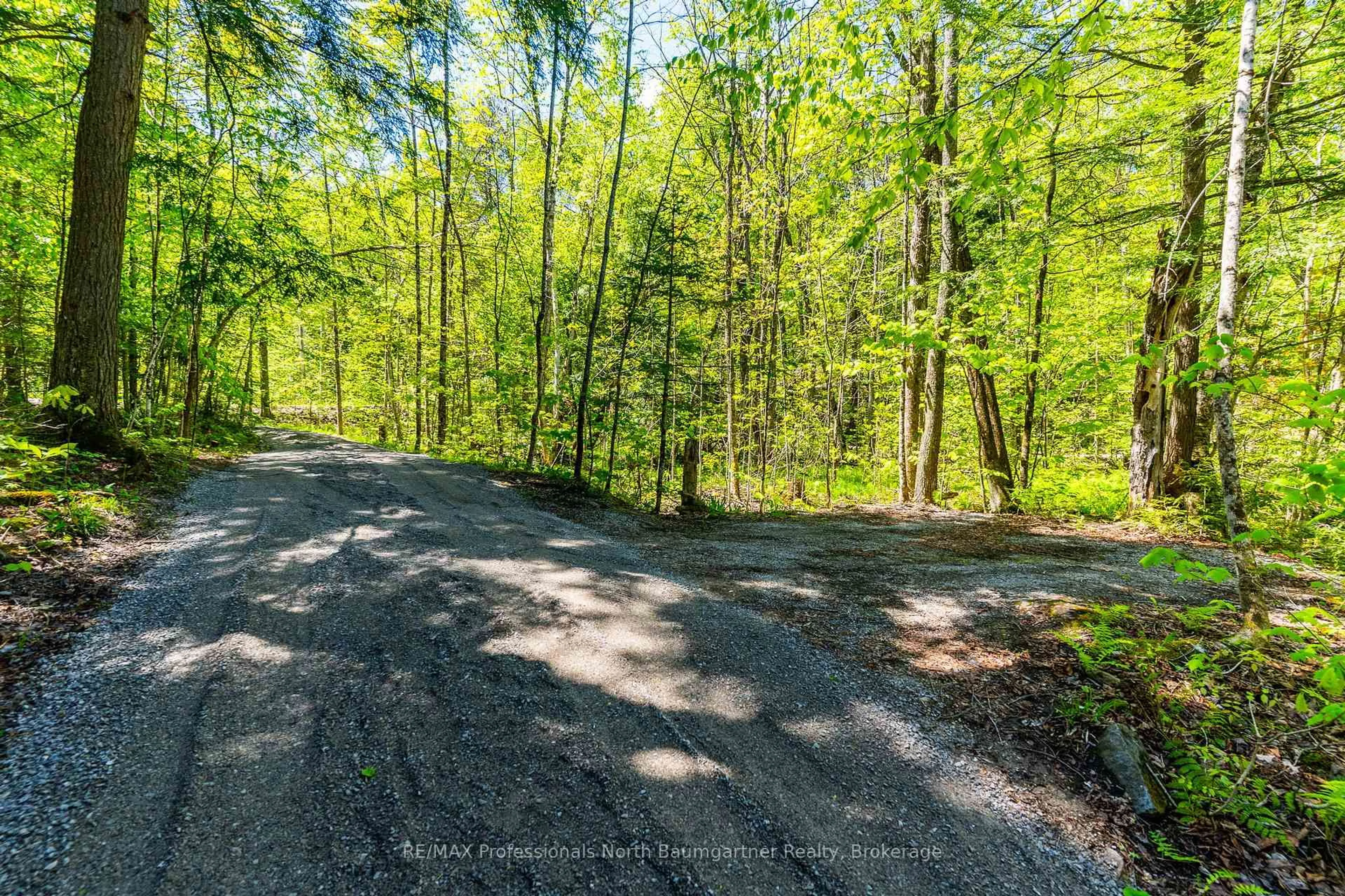 A pic from outside/outdoor area/front of a property/back of a property/a pic from drone, forest/trees view for 1210 Twist Lane, Highlands East Ontario K0M 1X0