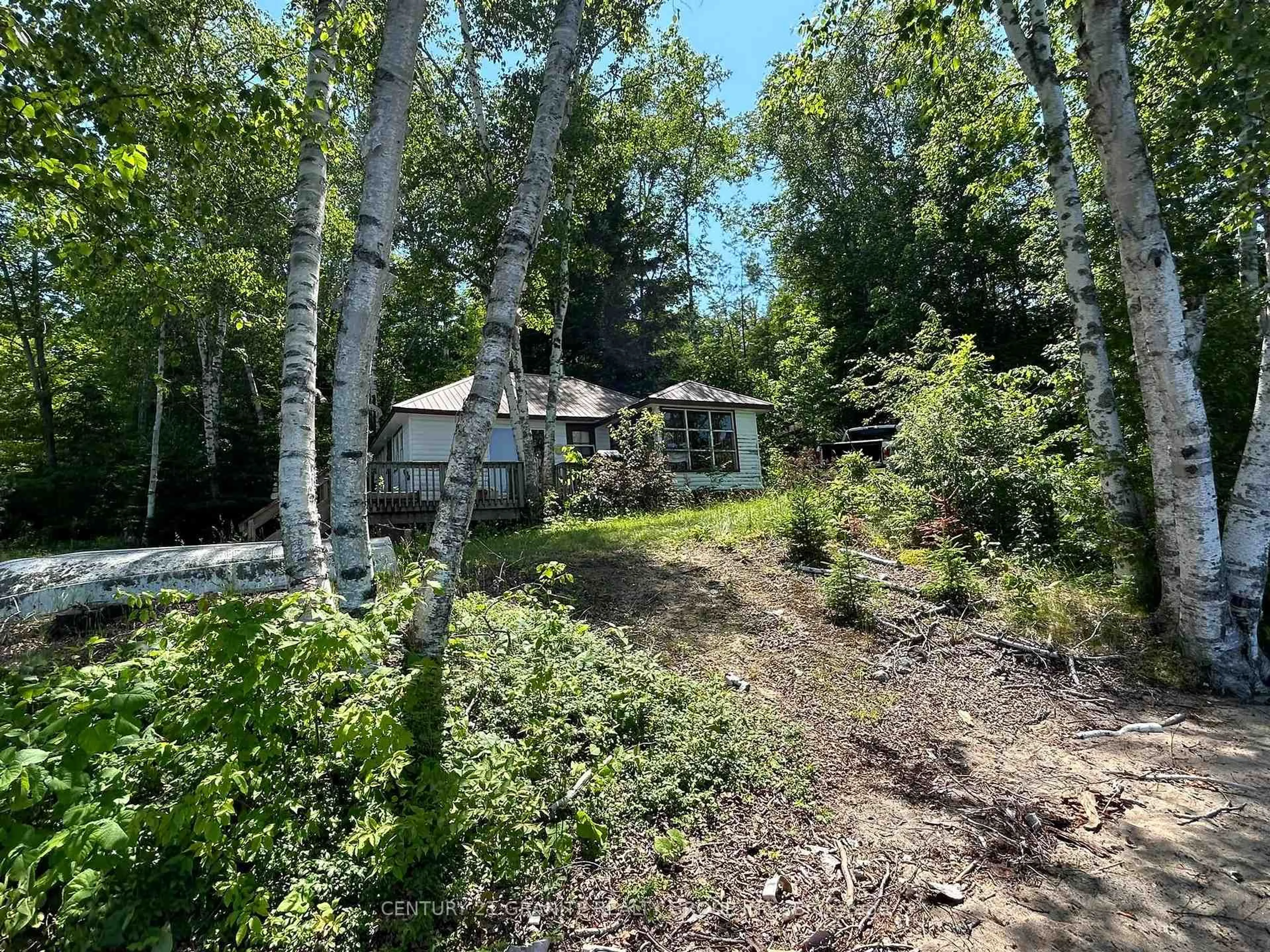 A pic from outside/outdoor area/front of a property/back of a property/a pic from drone, forest/trees view for 1536 Papineau Lake Rd, Maple Leaf Ontario K0L 2R0