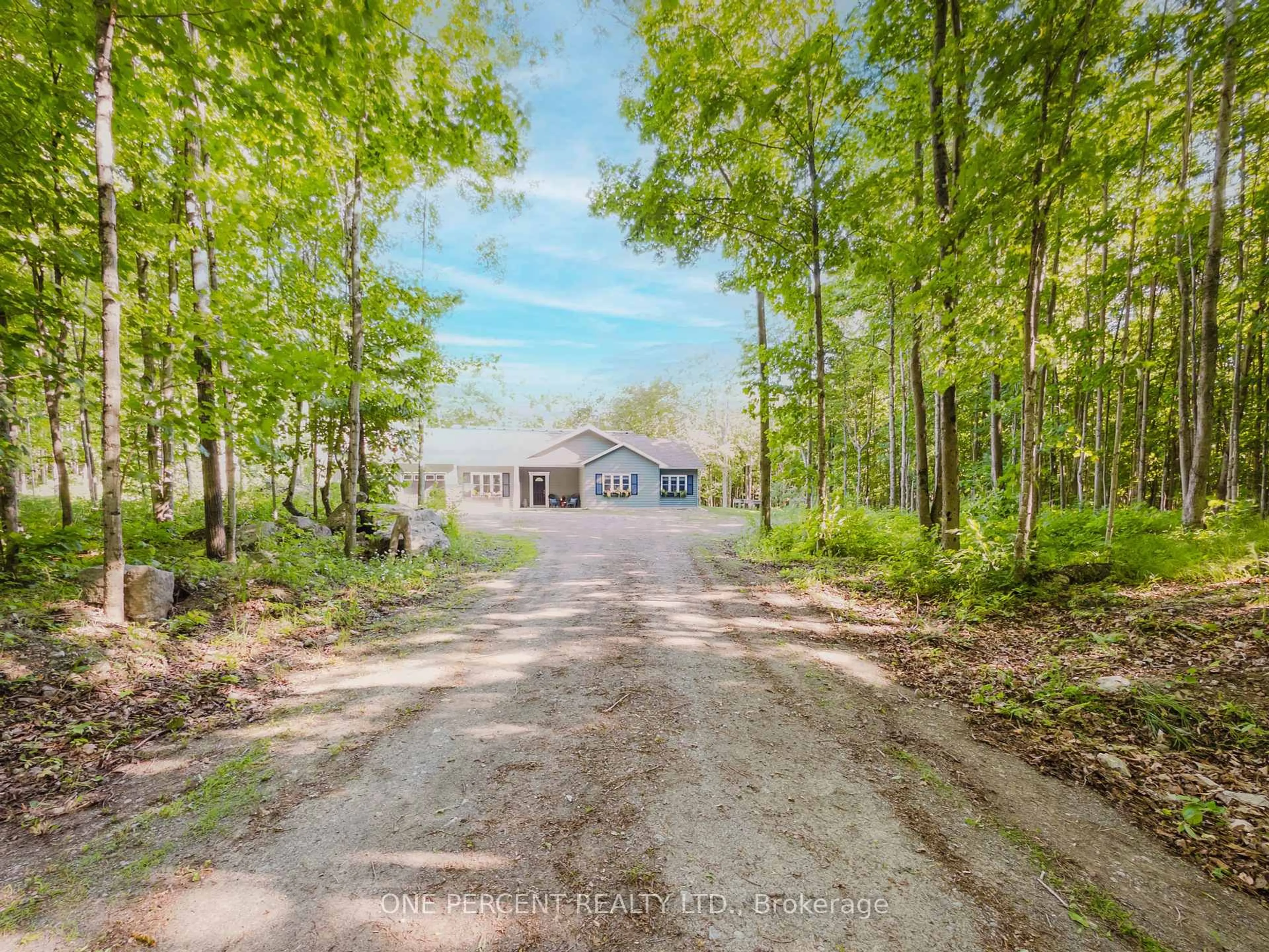 A pic from outside/outdoor area/front of a property/back of a property/a pic from drone, forest/trees view for 1912 Moneymore Rd, Belleville Ontario K0K 2Y0