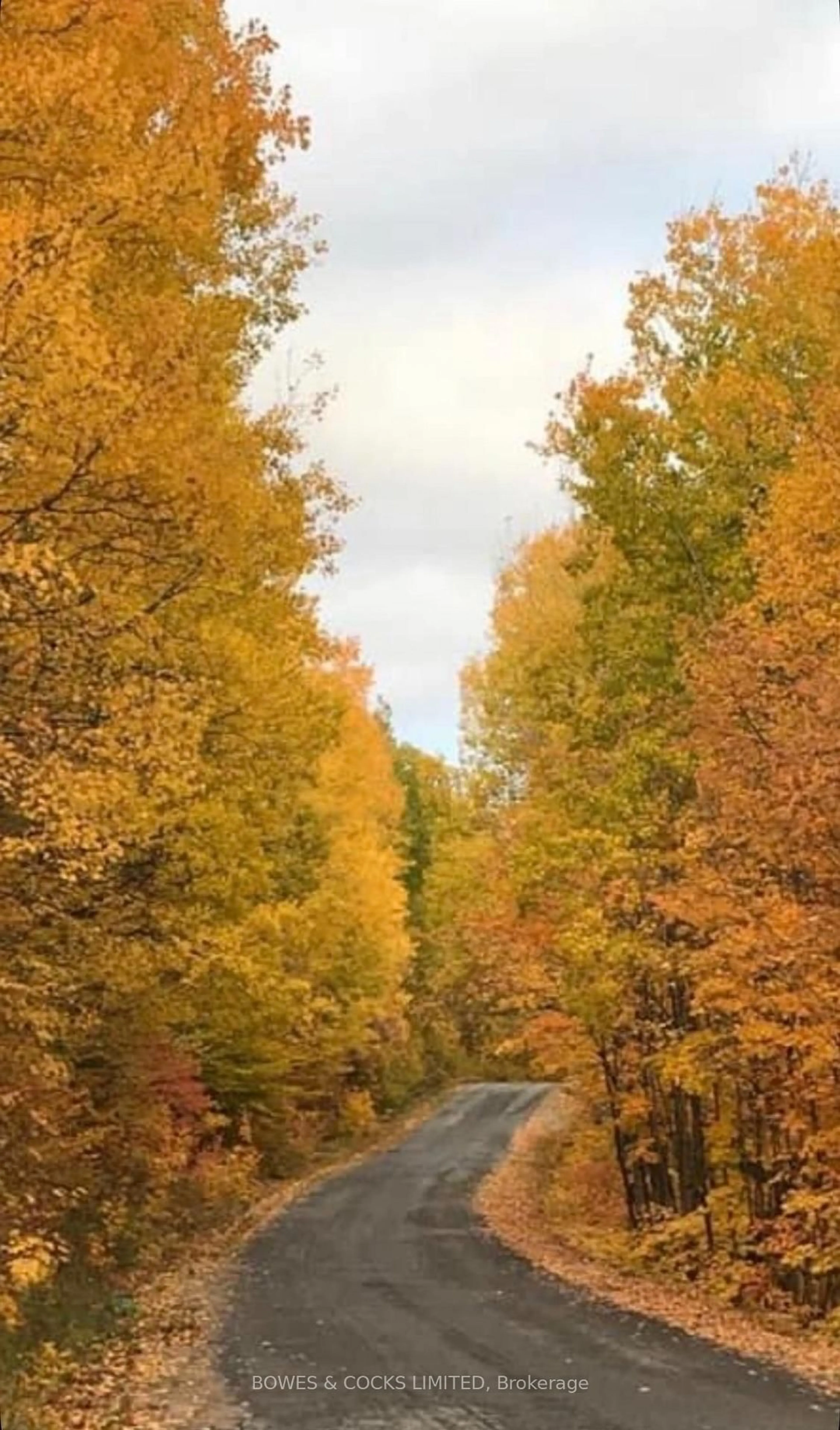 Blurry image for 63B O-At-Ka Rd, Bancroft Ontario K0L 1C0