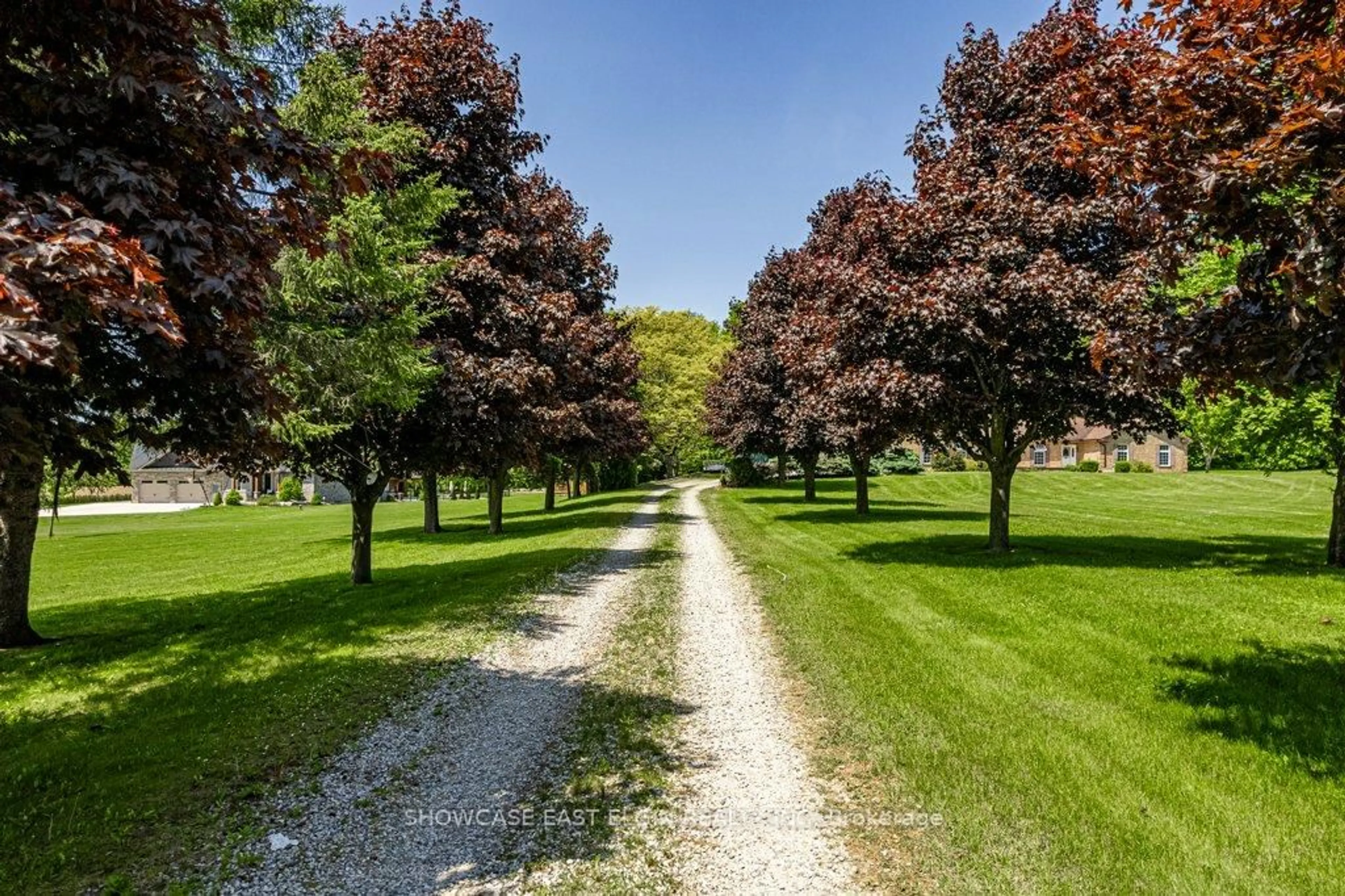Patio, forest/trees view for 8709 Springfield Rd, Malahide Ontario N5H 2R1