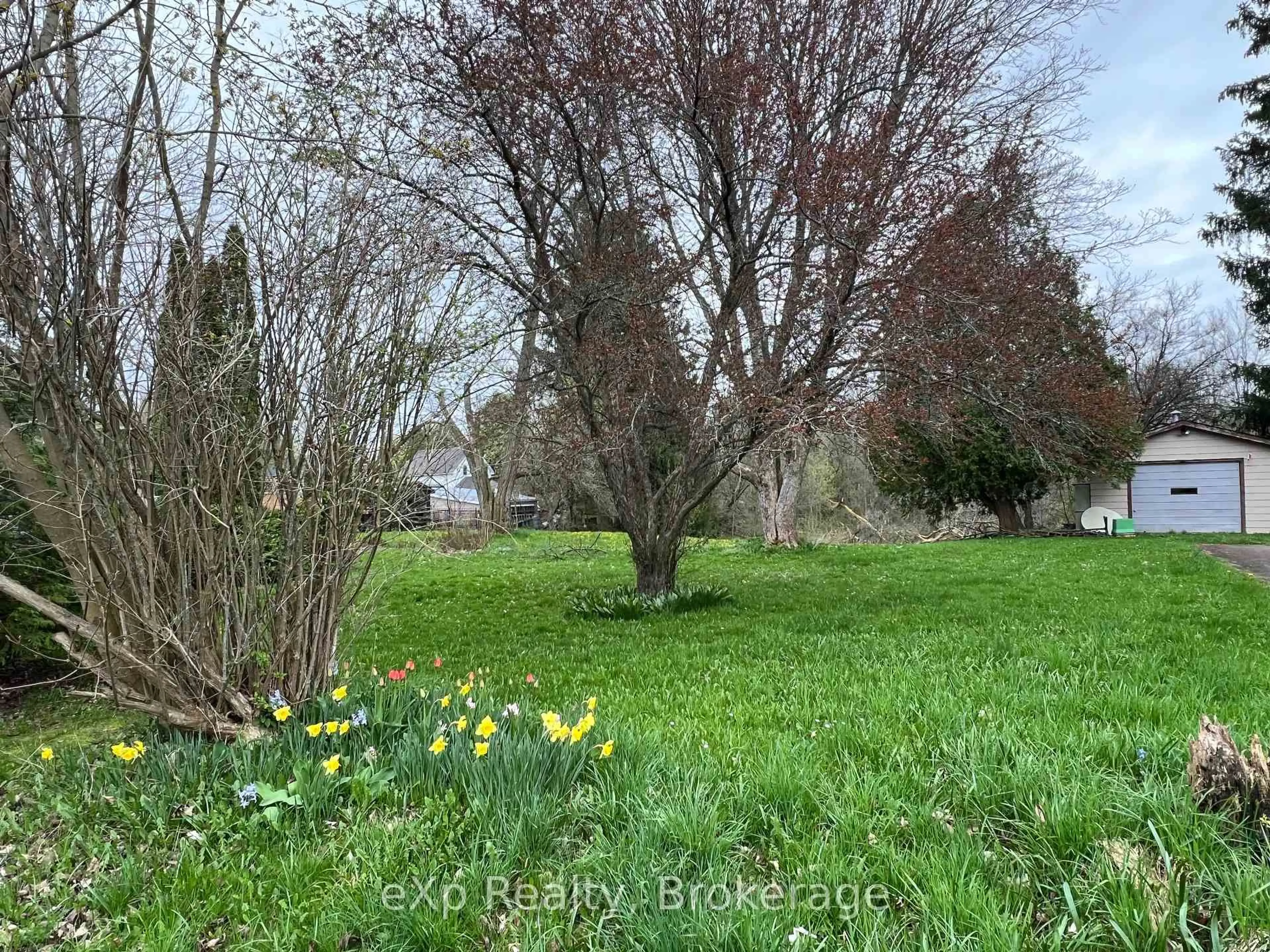A pic from outside/outdoor area/front of a property/back of a property/a pic from drone, forest/trees view for 791 23rd St, Owen Sound Ontario N4K 4H4