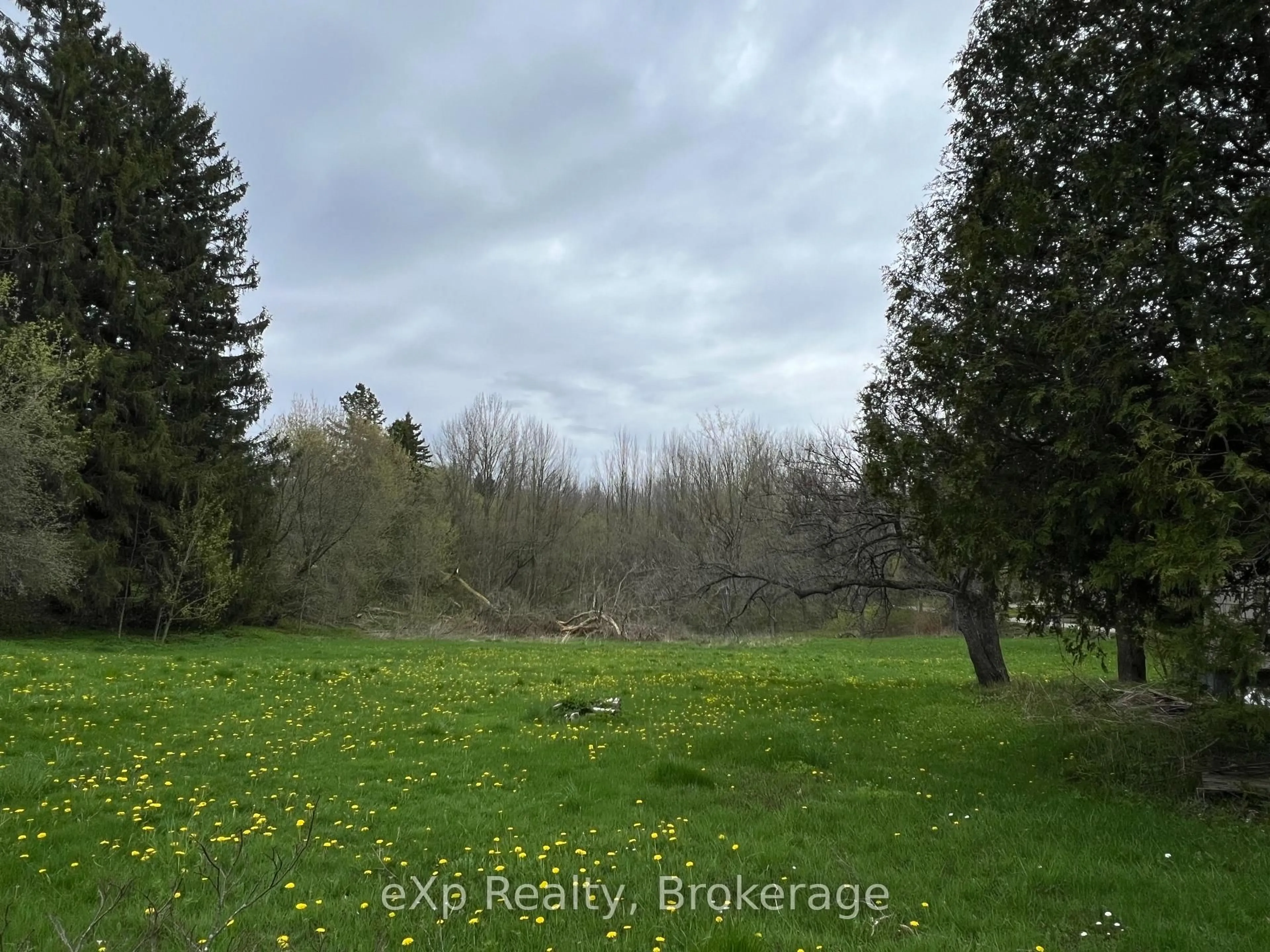 A pic from outside/outdoor area/front of a property/back of a property/a pic from drone, forest/trees view for 791 23rd St, Owen Sound Ontario N4K 4H4