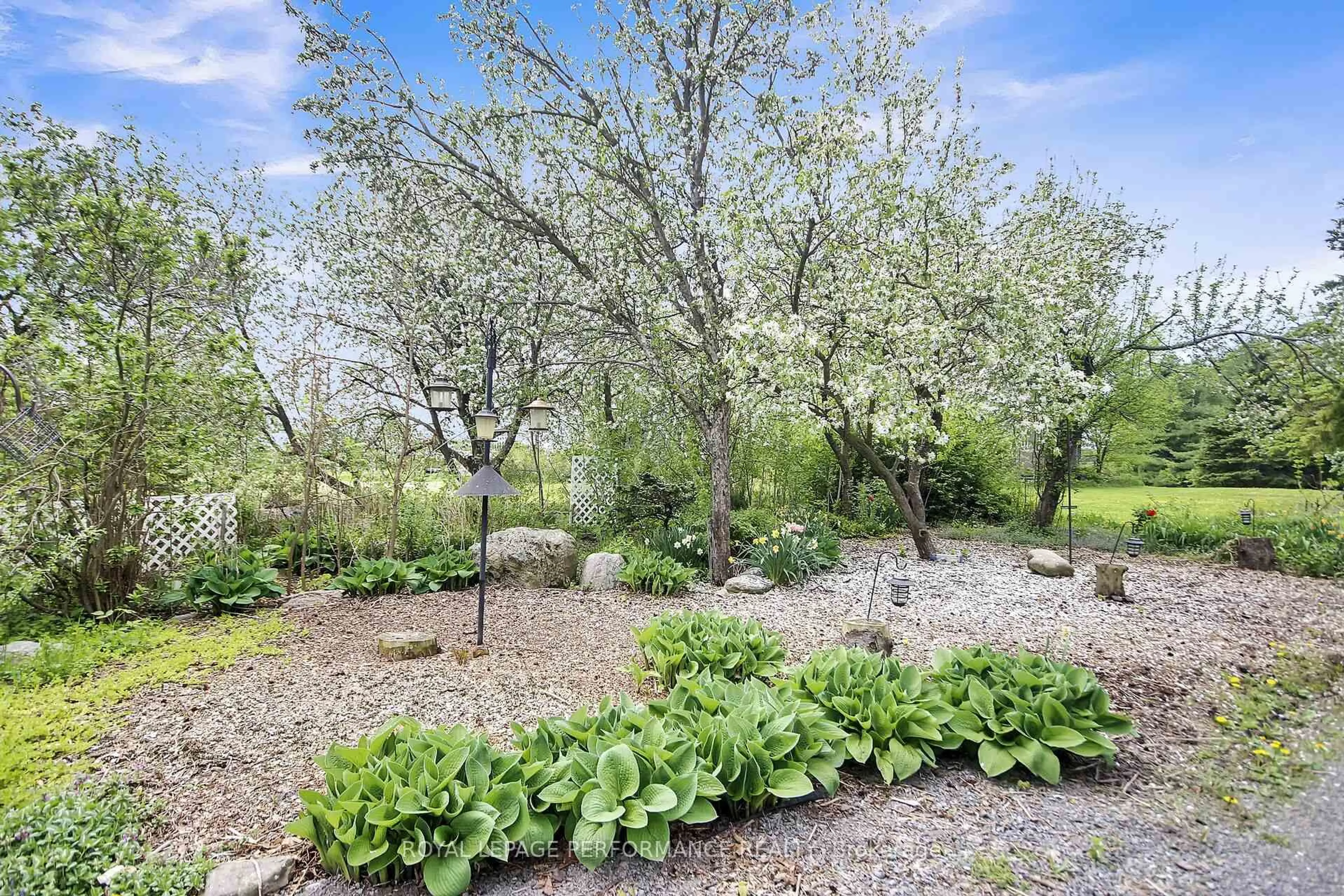 A pic from outside/outdoor area/front of a property/back of a property/a pic from drone, forest/trees view for 14120 County Road 13 Rd, North Stormont Ontario K0A 1R0