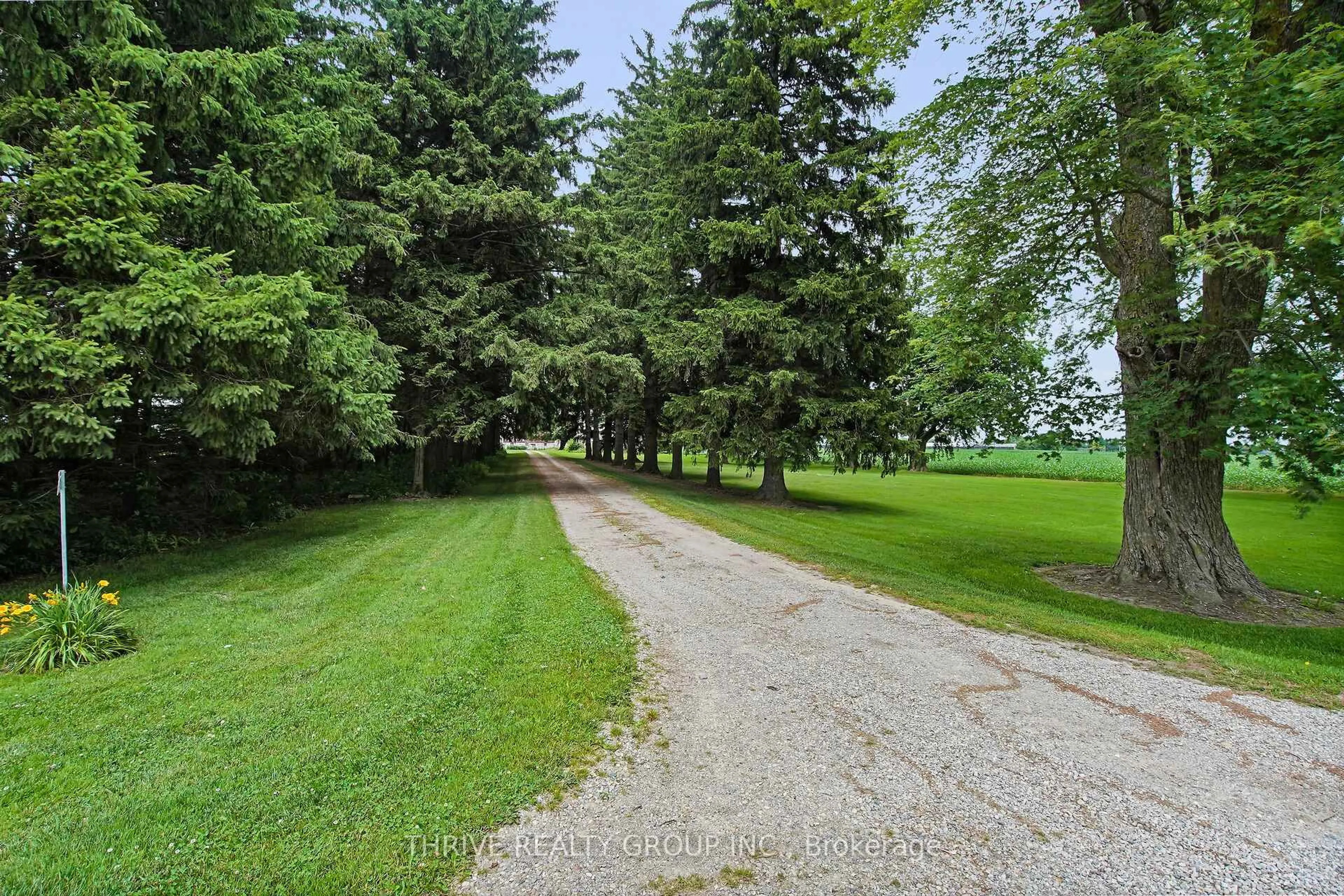 A pic from outside/outdoor area/front of a property/back of a property/a pic from drone, forest/trees view for 20664 Heritage Rd, Thames Centre Ontario N0M 2P0