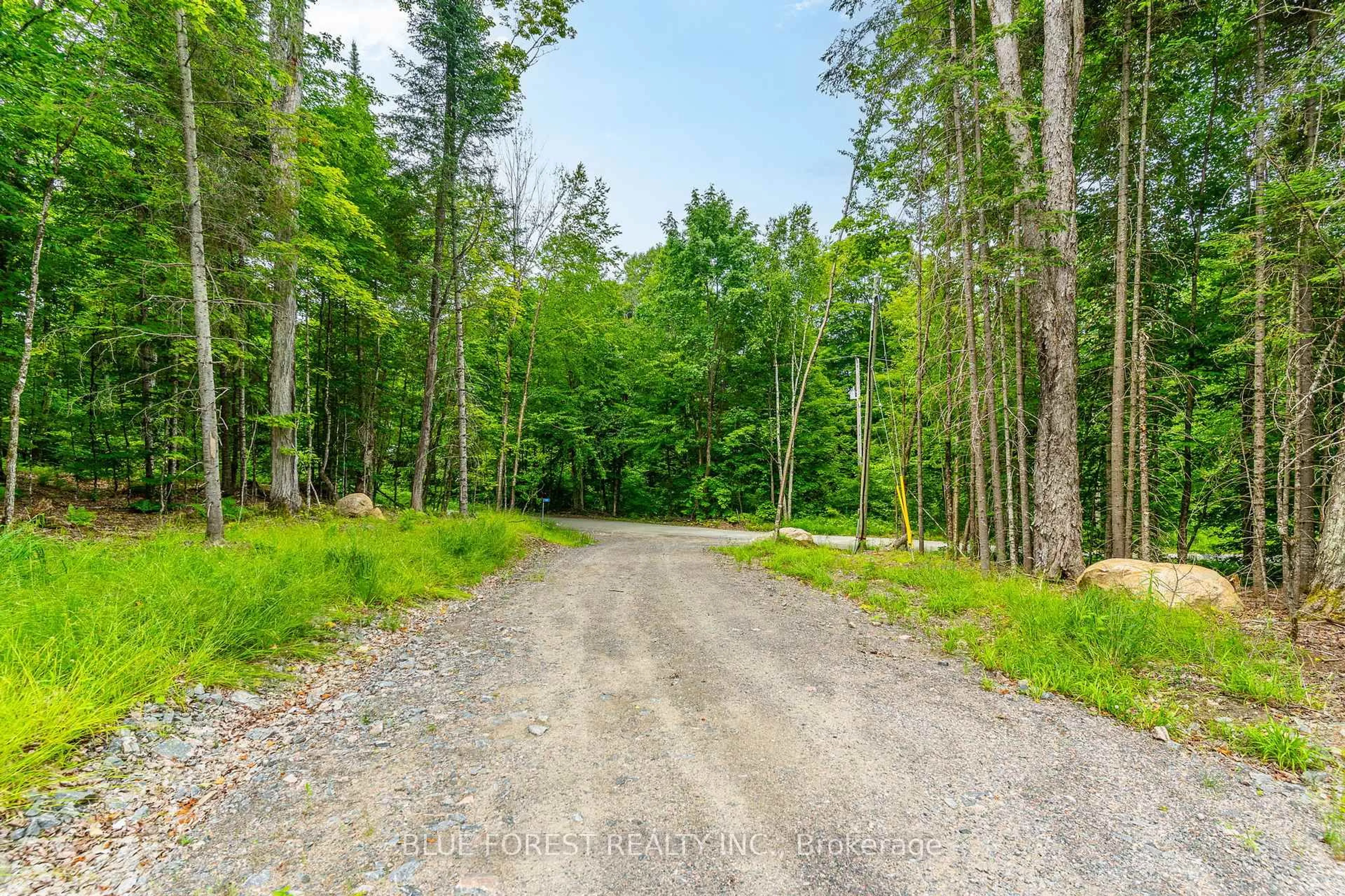 A pic from outside/outdoor area/front of a property/back of a property/a pic from drone, forest/trees view for 1188 North Lake Dr, Dysart et al Ontario K0M 1M0