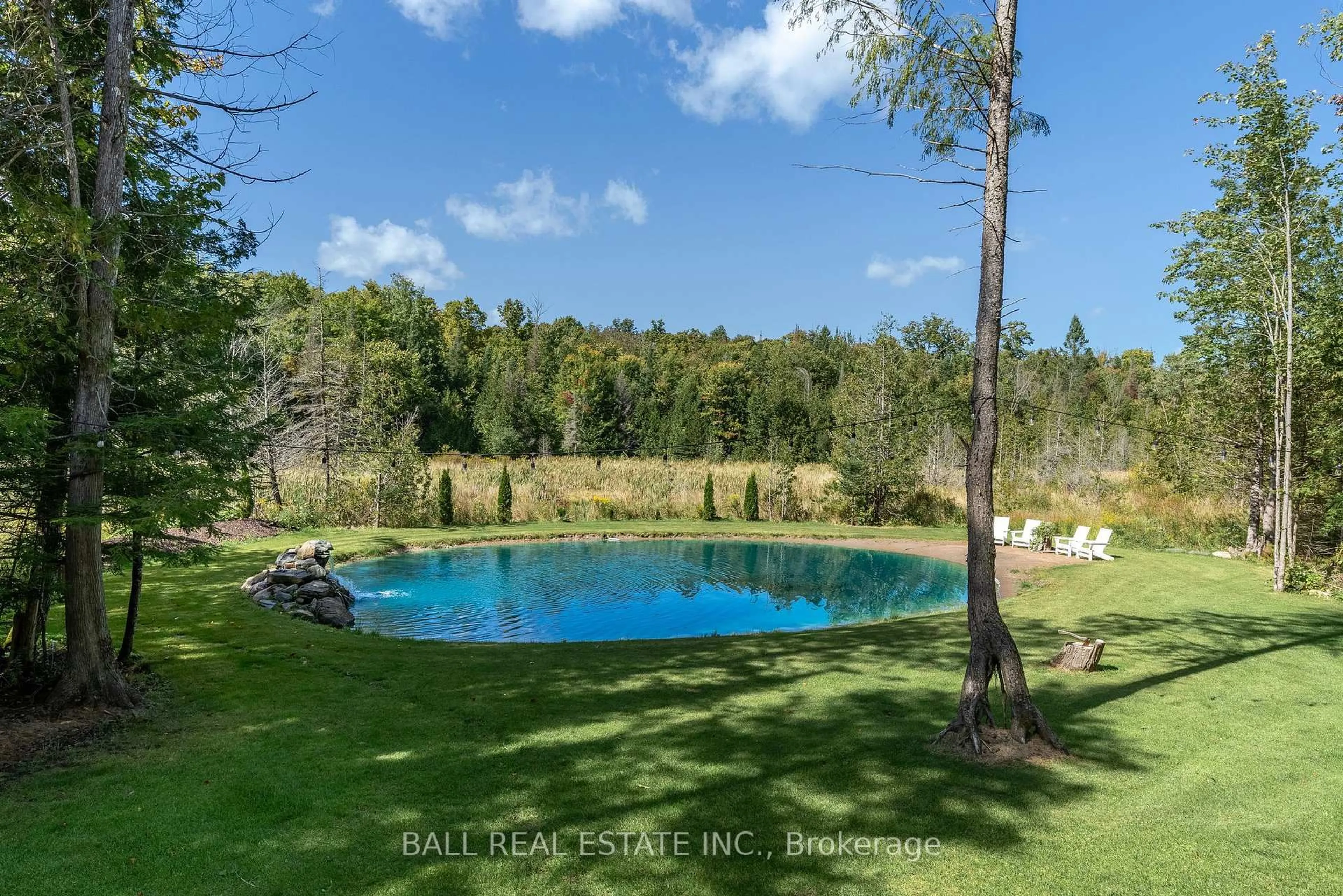 Pool for 201 Northern Ave, Trent Lakes Ontario K0M 1A0