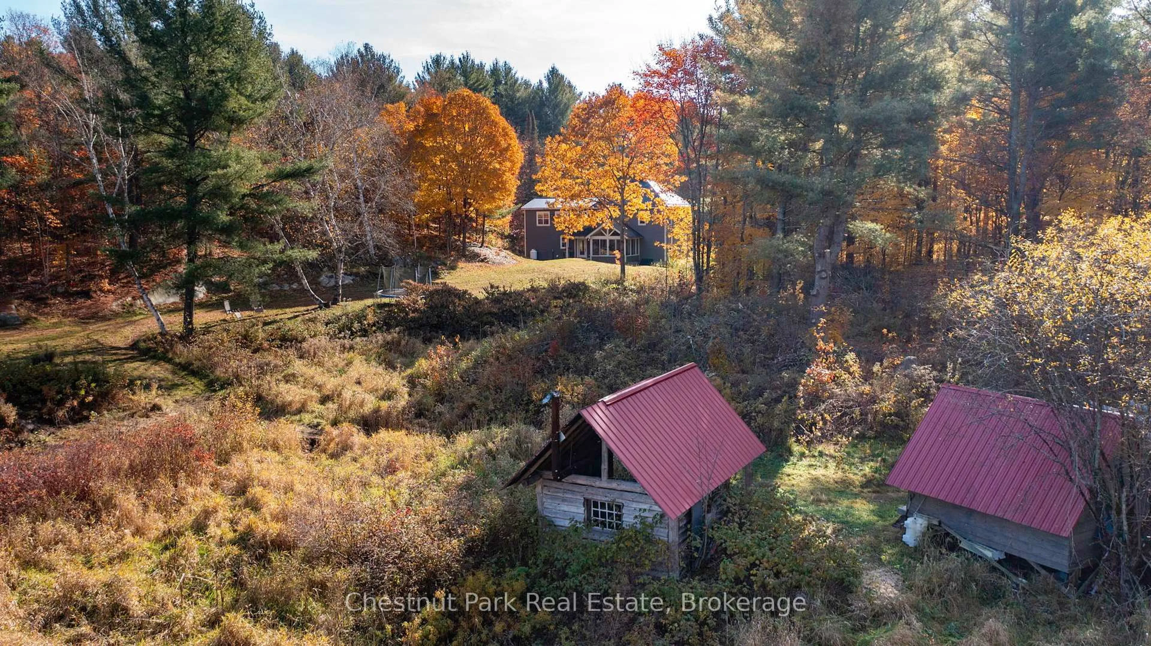 A pic from outside/outdoor area/front of a property/back of a property/a pic from drone, forest/trees view for 1236 Butter & Egg Rd, Muskoka Lakes Ontario P1L 1X4