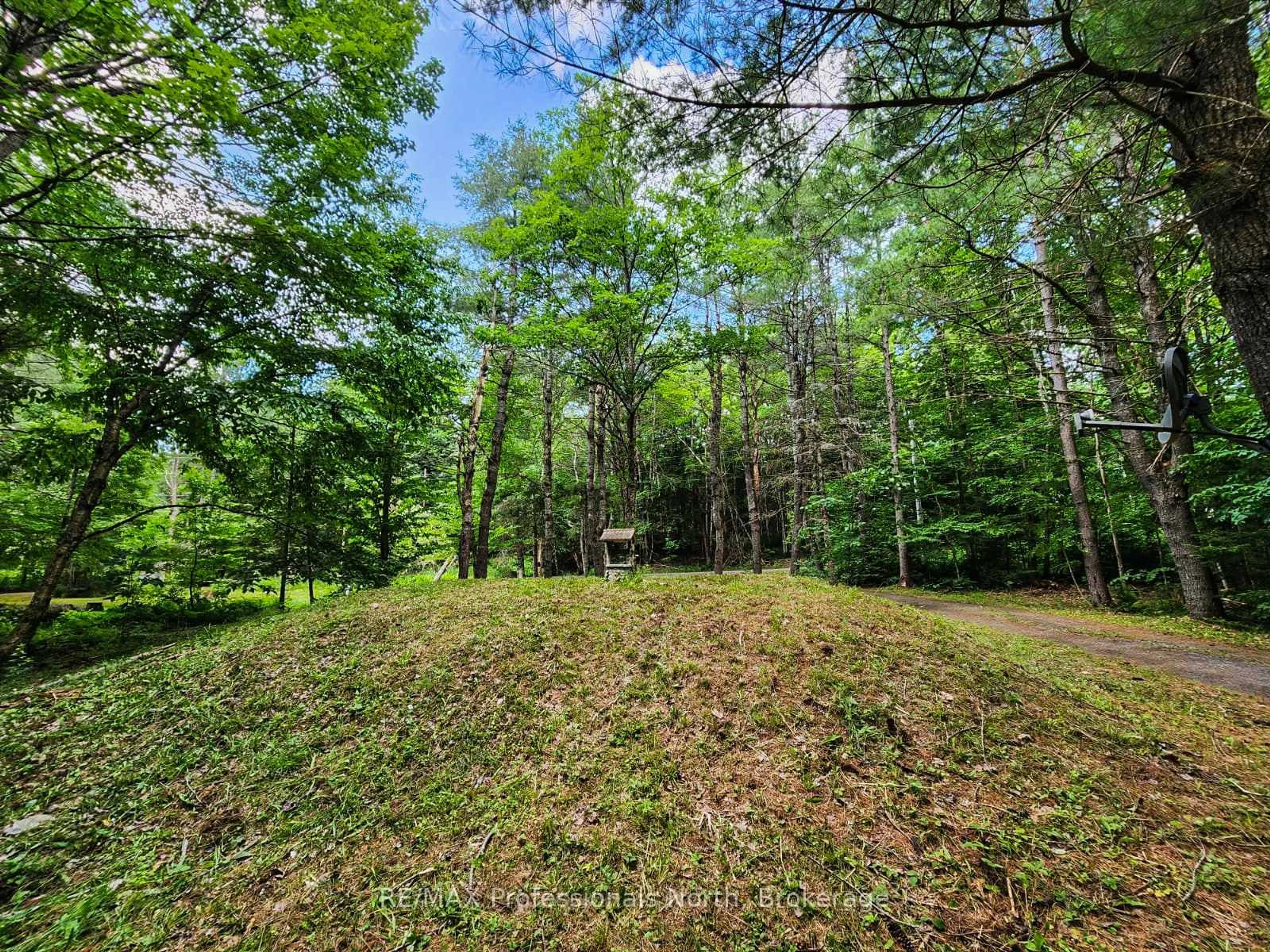 A pic from outside/outdoor area/front of a property/back of a property/a pic from drone, forest/trees view for 1068 Holiday Park Dr, Bracebridge Ontario P1L 1W9