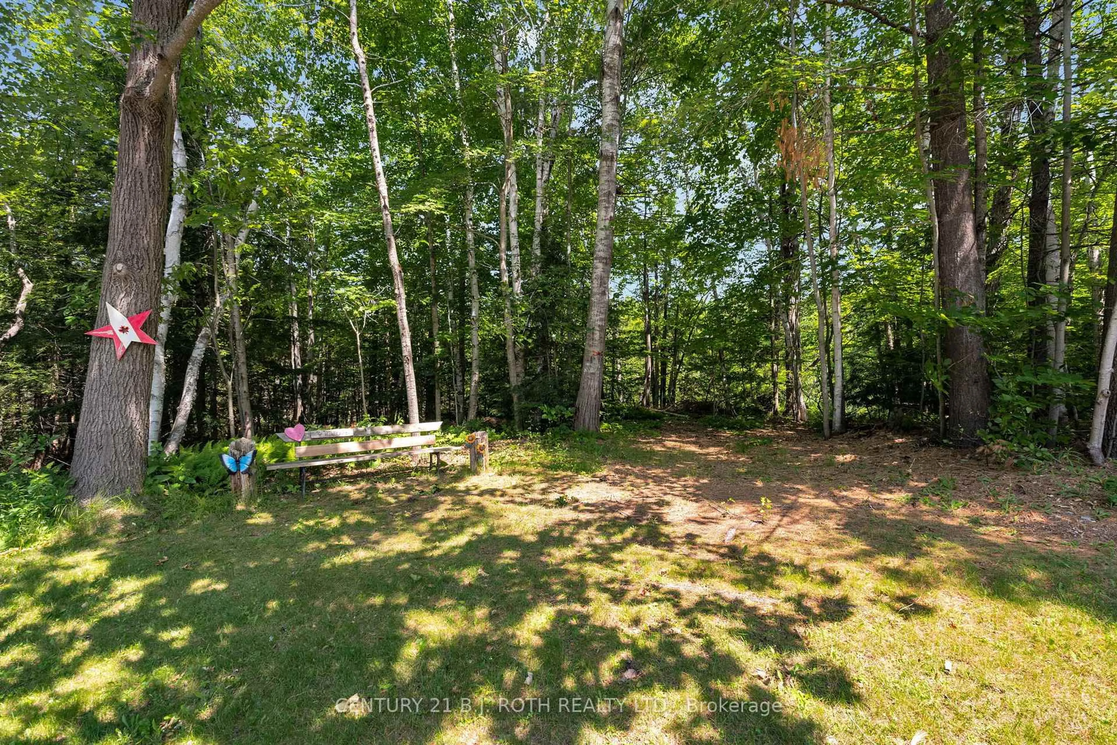 A pic from outside/outdoor area/front of a property/back of a property/a pic from drone, forest/trees view for 175 Segwun Blvd, Gravenhurst Ontario P1P 1C5
