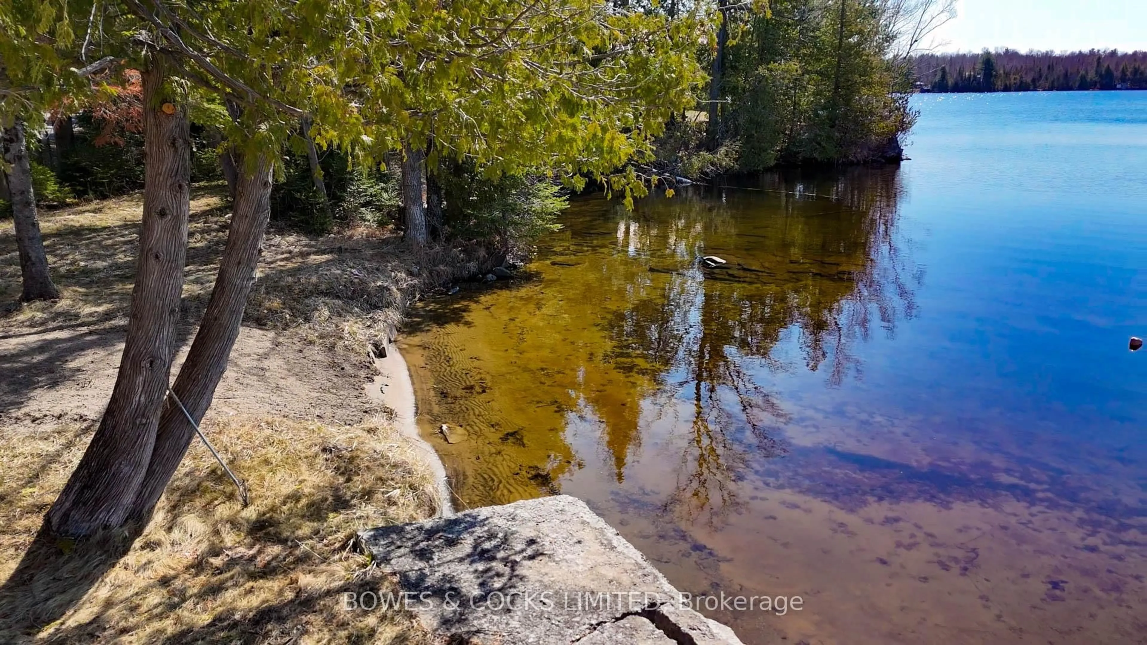 Blurry image for 348 Steenburg Lake Rd, Hastings Ontario K0L 1W0