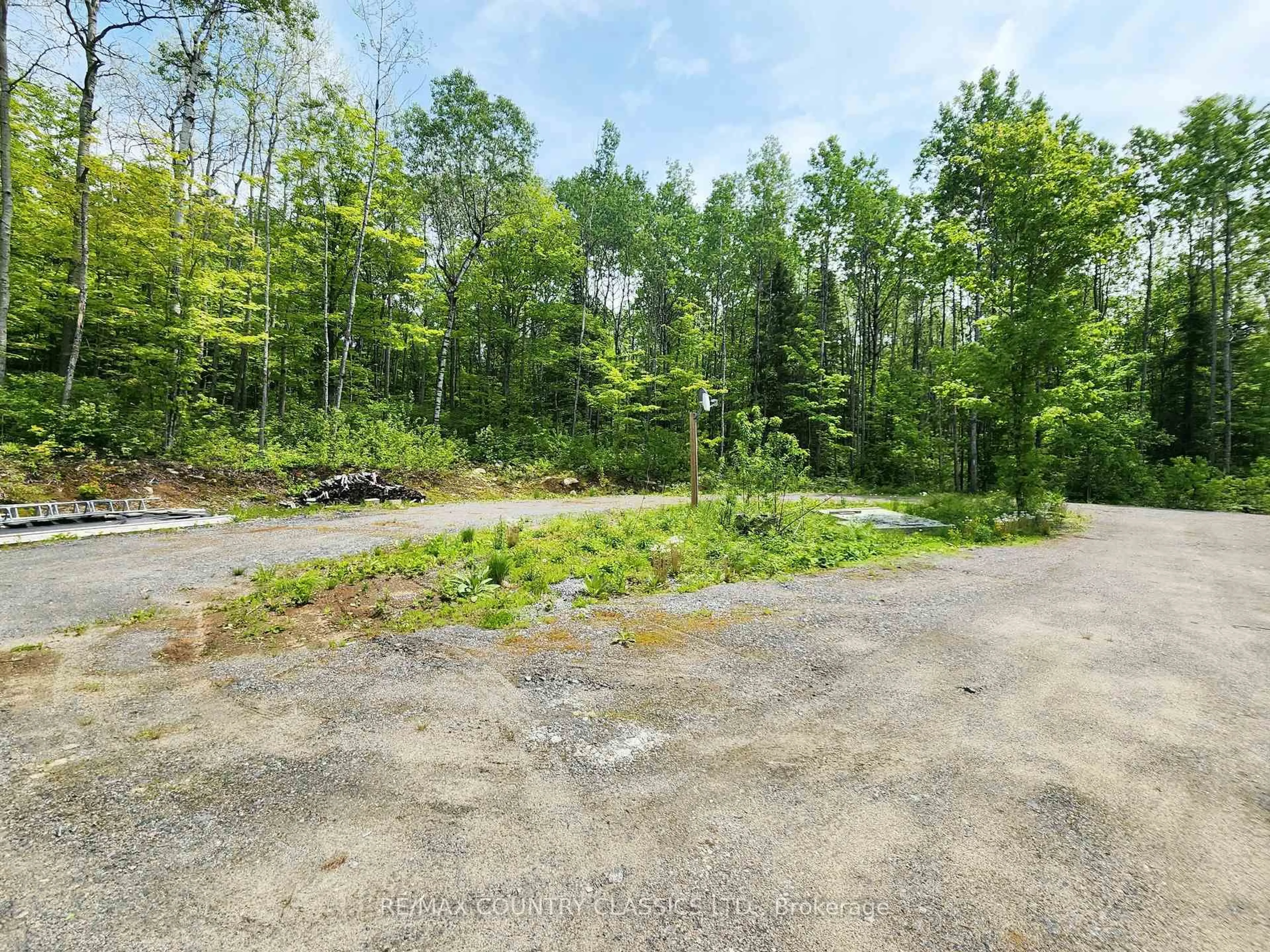 A pic from outside/outdoor area/front of a property/back of a property/a pic from drone, forest/trees view for 204 Boulter Lake Rd, Maynooth Ontario K0L 2K0