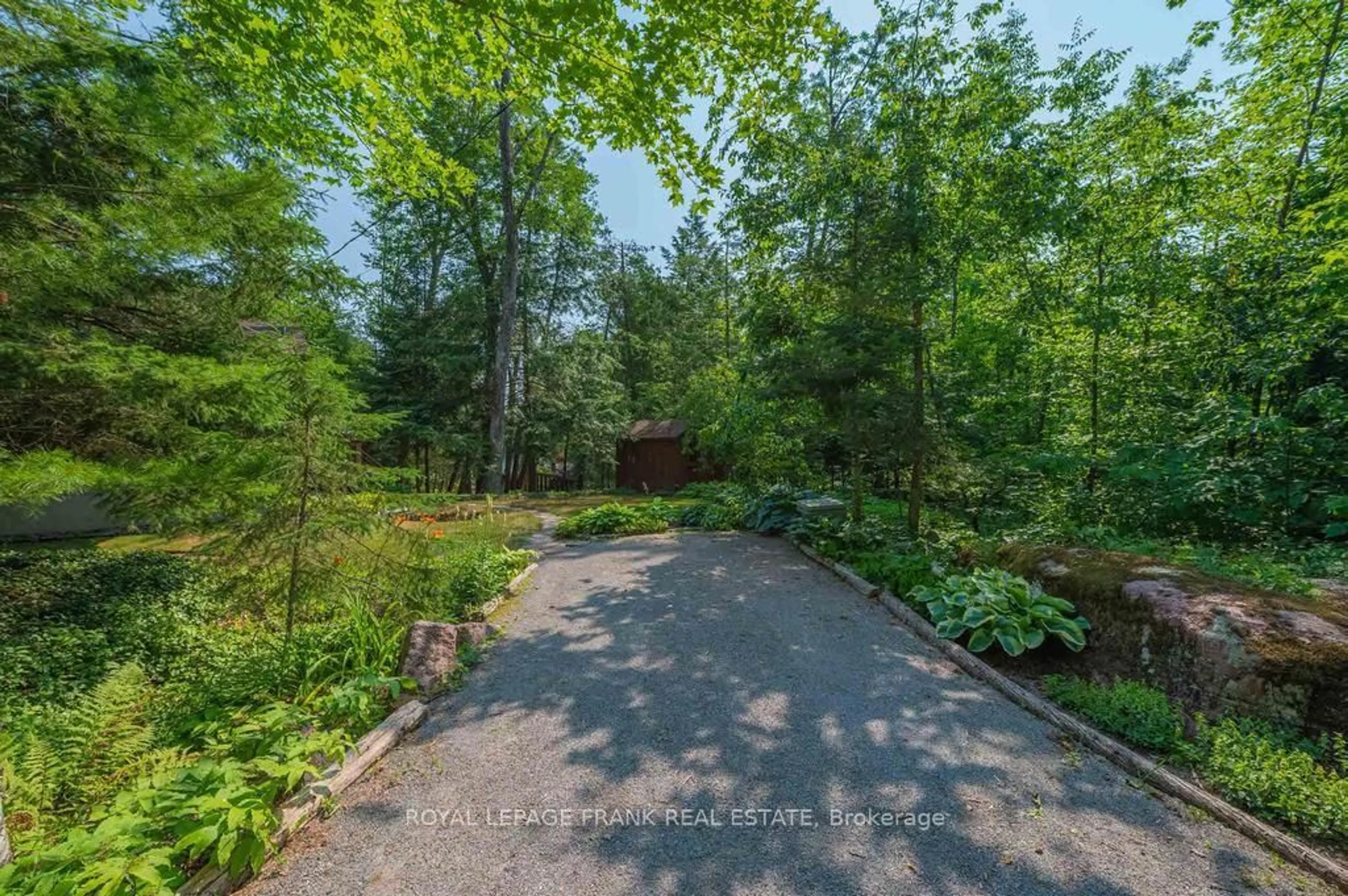A pic from outside/outdoor area/front of a property/back of a property/a pic from drone, forest/trees view for 2160 Fire Route 20, Selwyn Ontario K0L 2H0