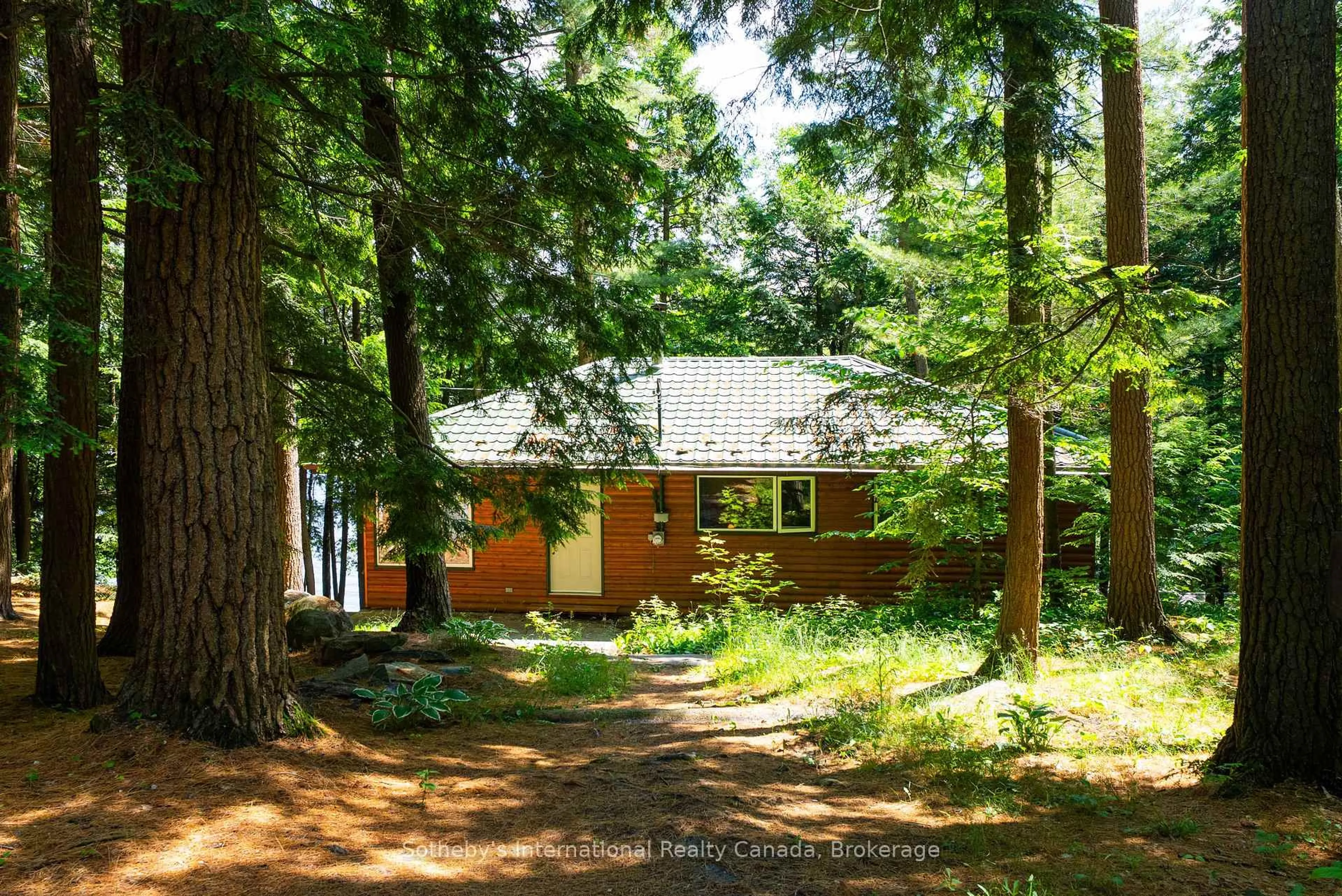 A pic from outside/outdoor area/front of a property/back of a property/a pic from drone, forest/trees view for 1551 Moon River Rd, Muskoka Lakes Ontario P0C 1A0