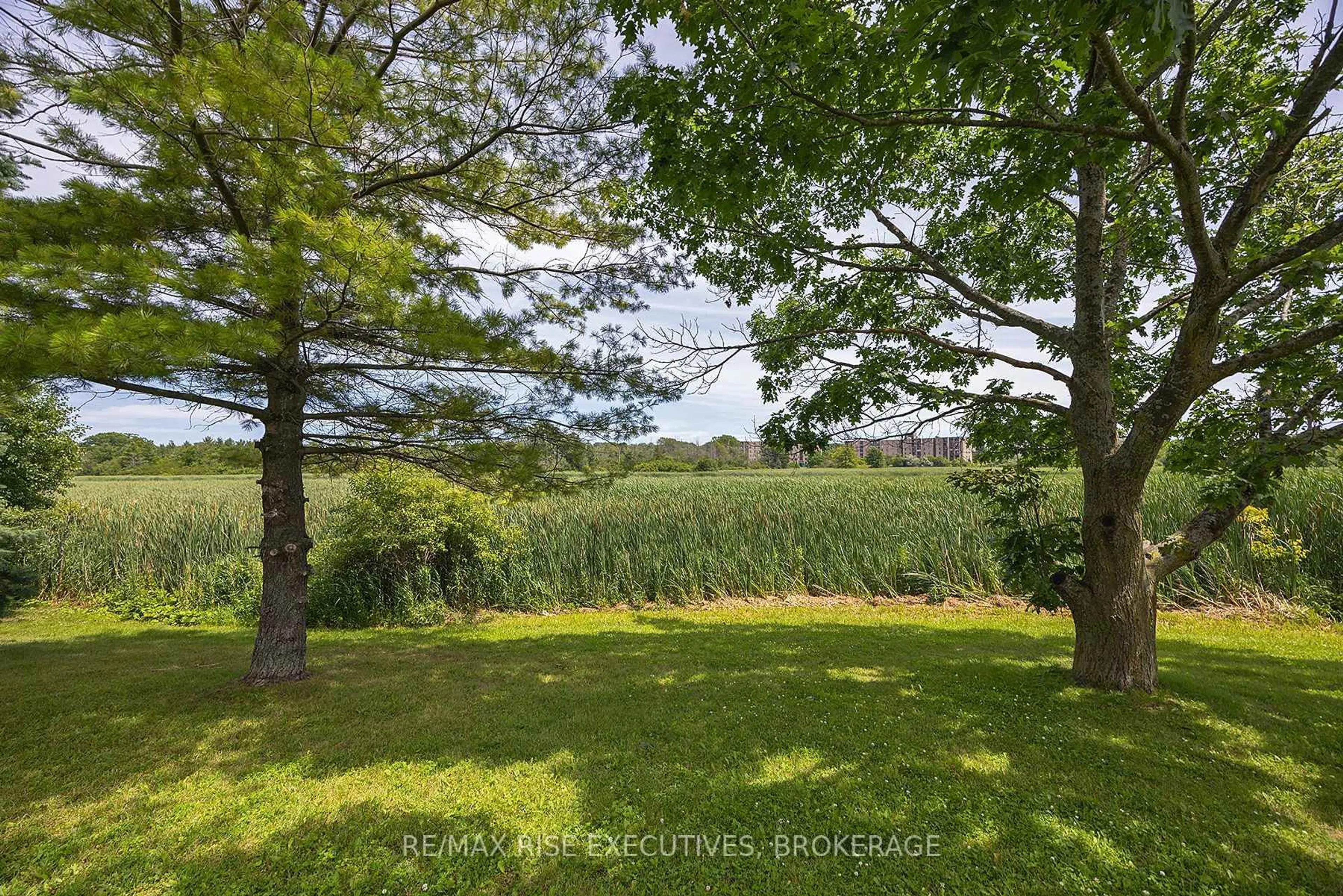 A pic from outside/outdoor area/front of a property/back of a property/a pic from drone, forest/trees view for 580 ARMSTRONG Rd #118, Kingston Ontario K7M 8M3