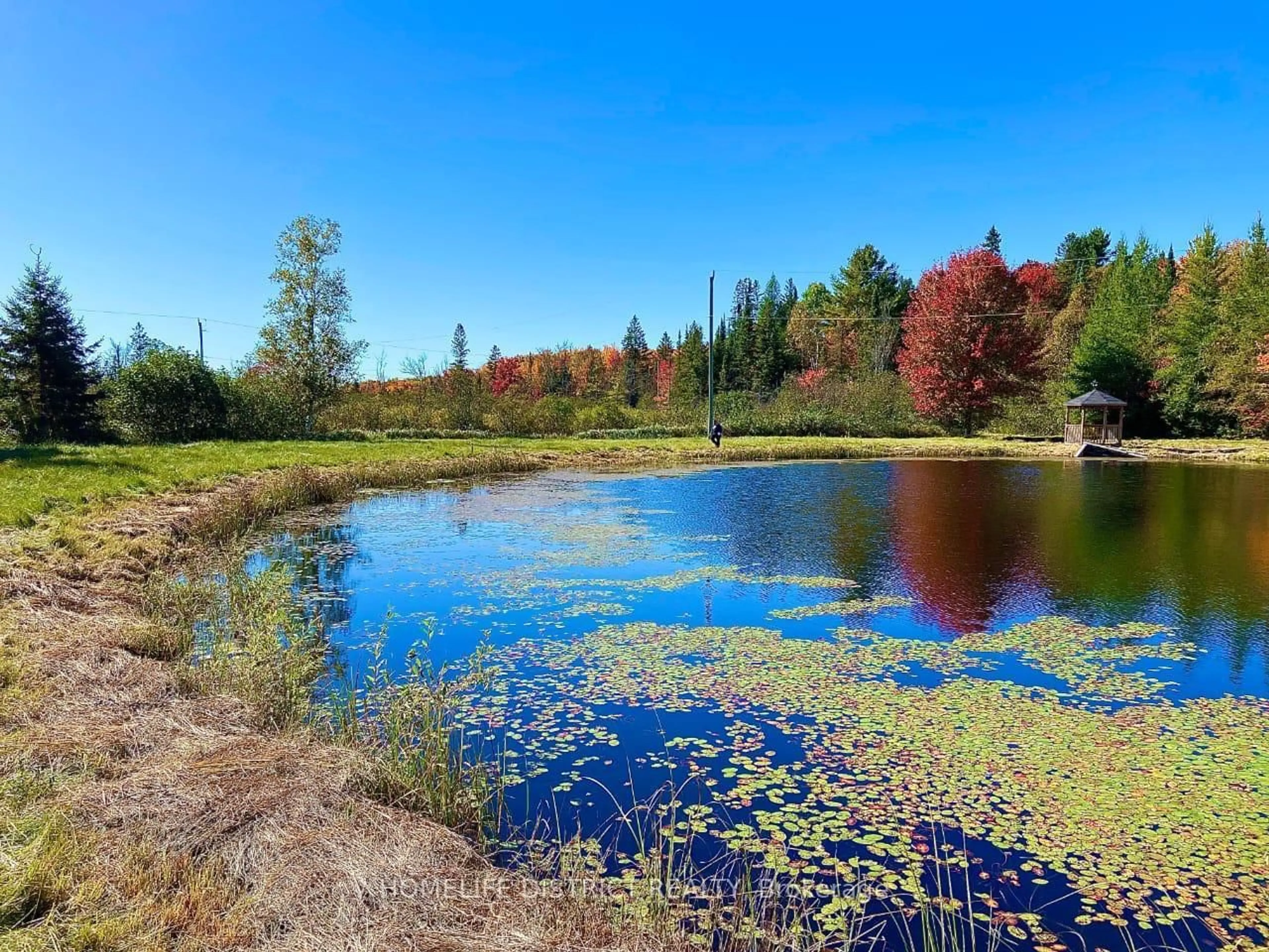Unknown for 567 Reid St, Trent Lakes Ontario K0M 2A0