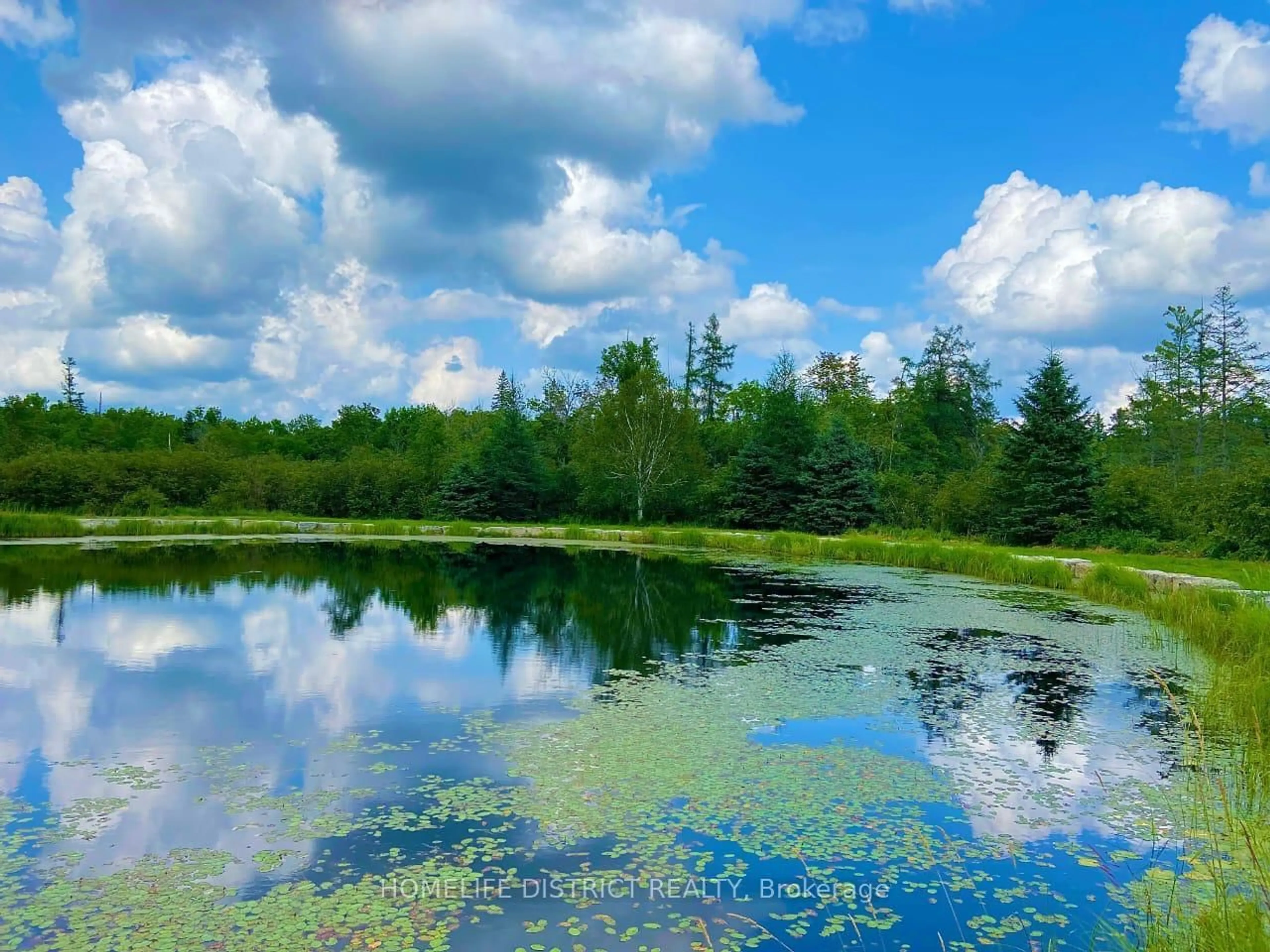 Unknown for 567 Reid St, Trent Lakes Ontario K0M 2A0